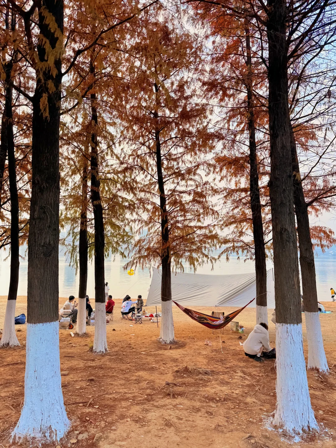 12.7实拍live！！不是大理！！是南昌！！