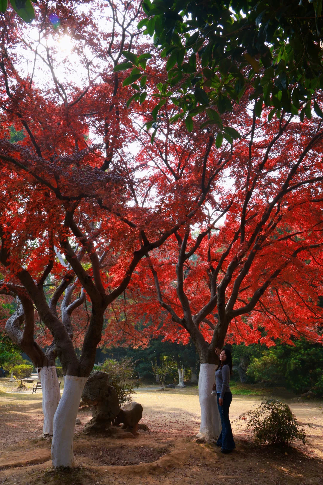 南昌人民公园打卡
