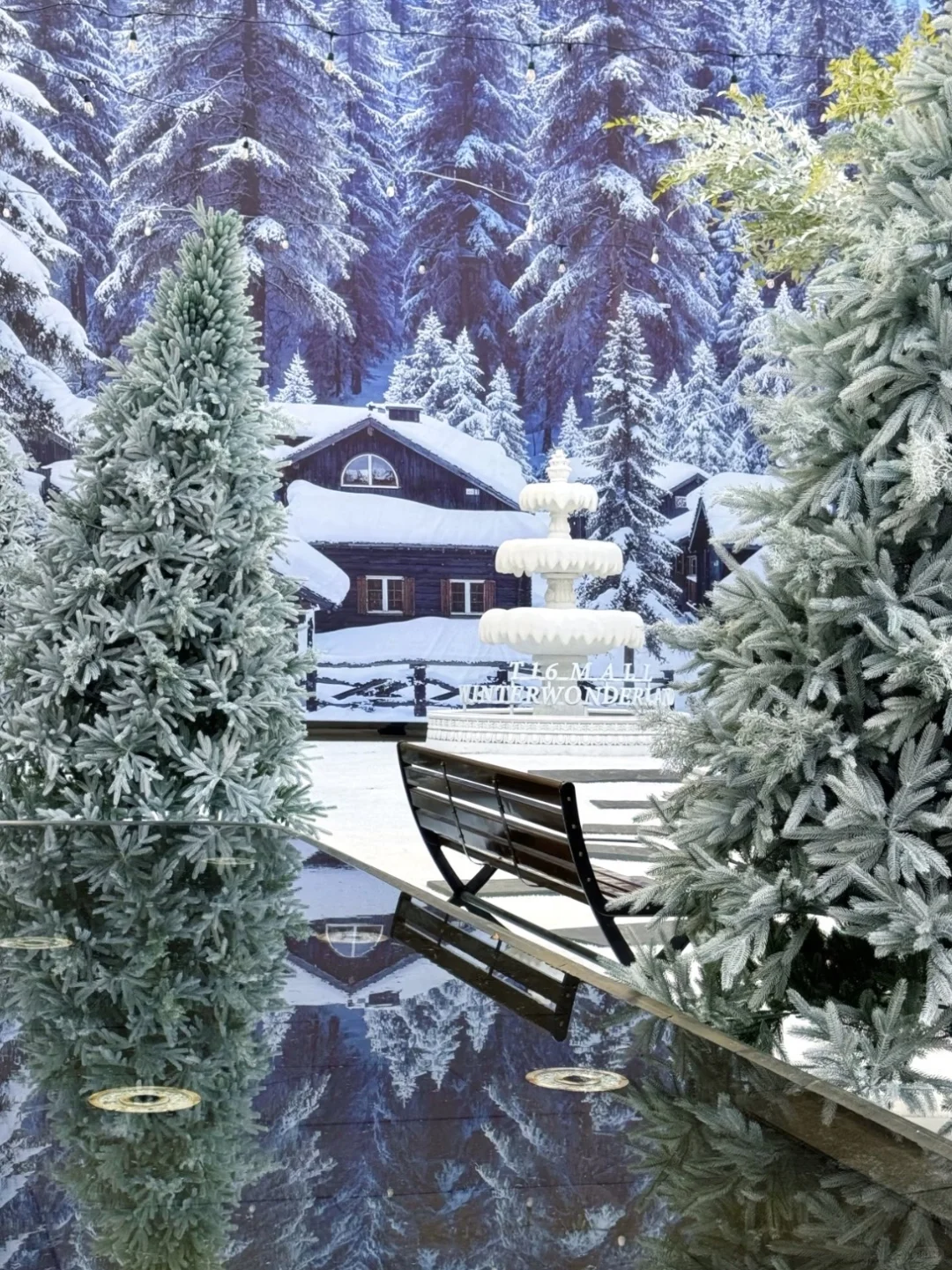 南昌坠坠坠坠坠大的圣诞树出现了🎄