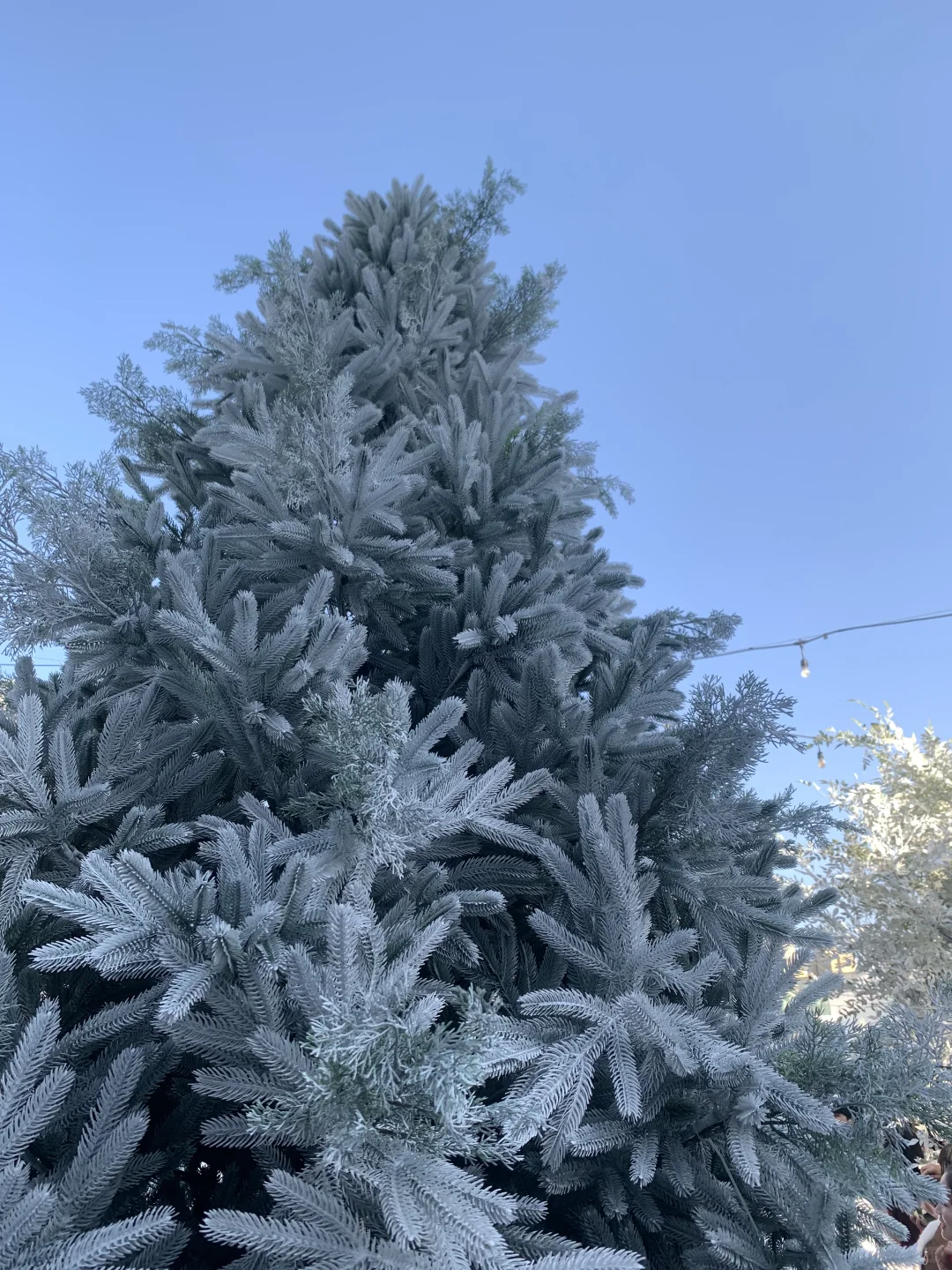 南昌t16周日下午