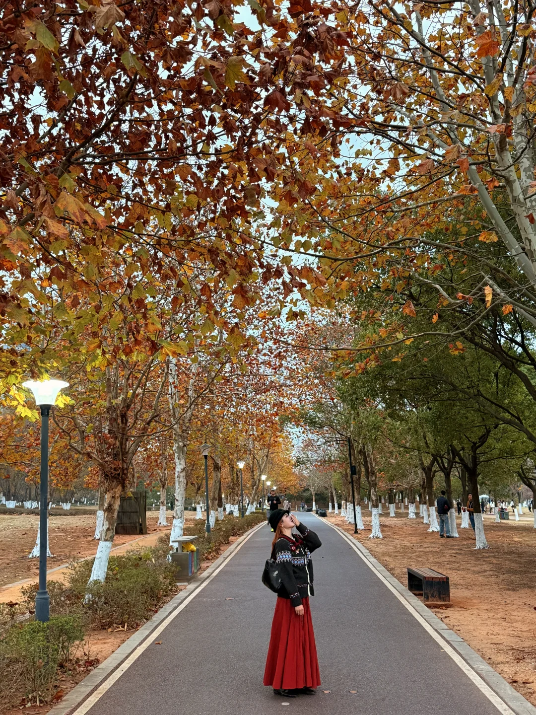 12.7实拍live！！不是大理！！是南昌！！