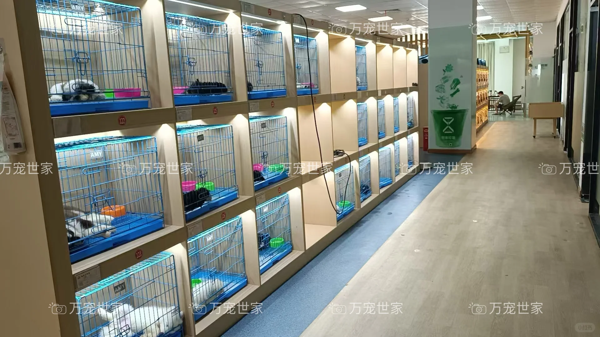 南昌靠谱宠物｜南昌宠物基地｜南昌买猫买狗