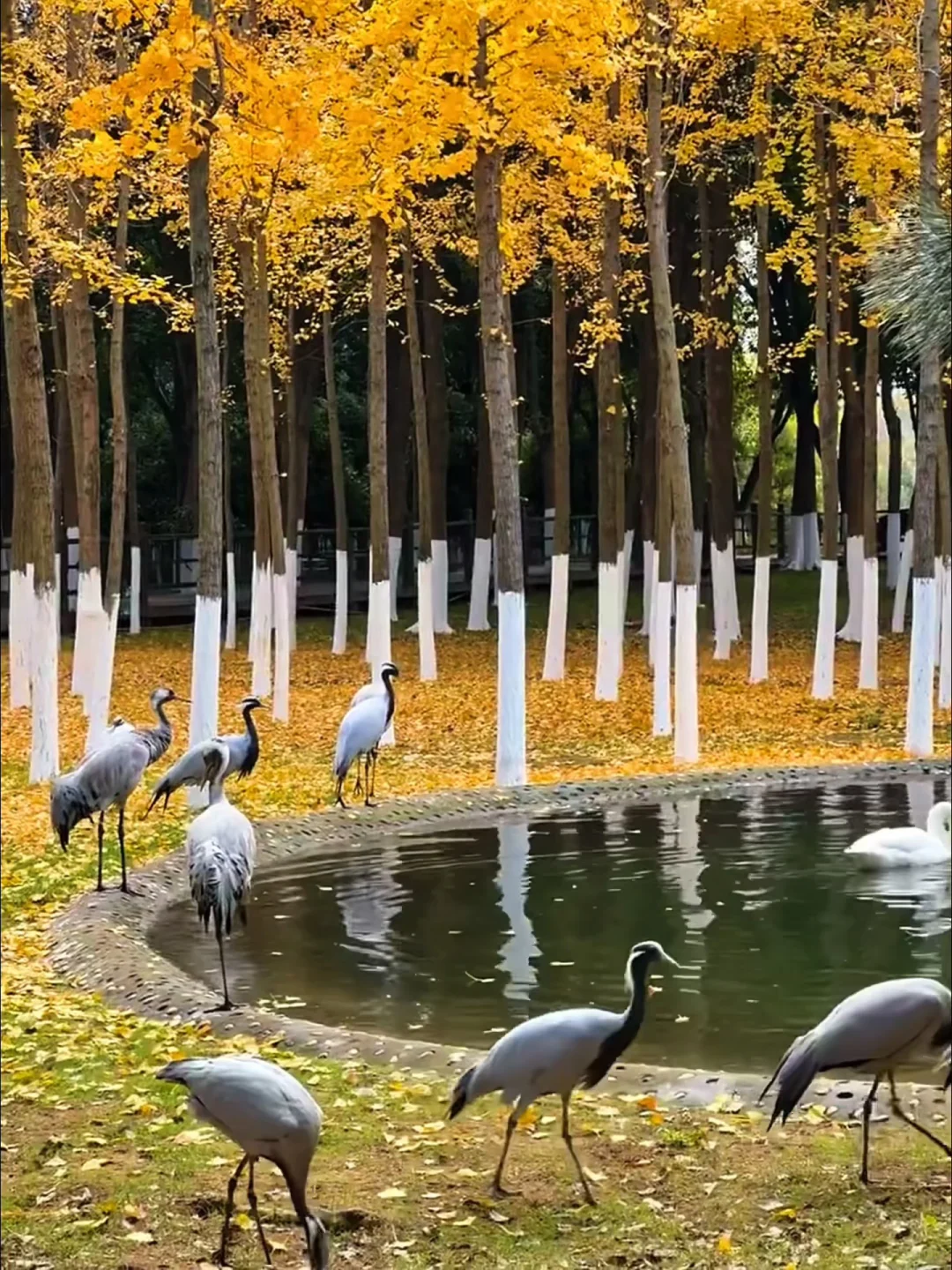 南昌一些不花钱的快乐…