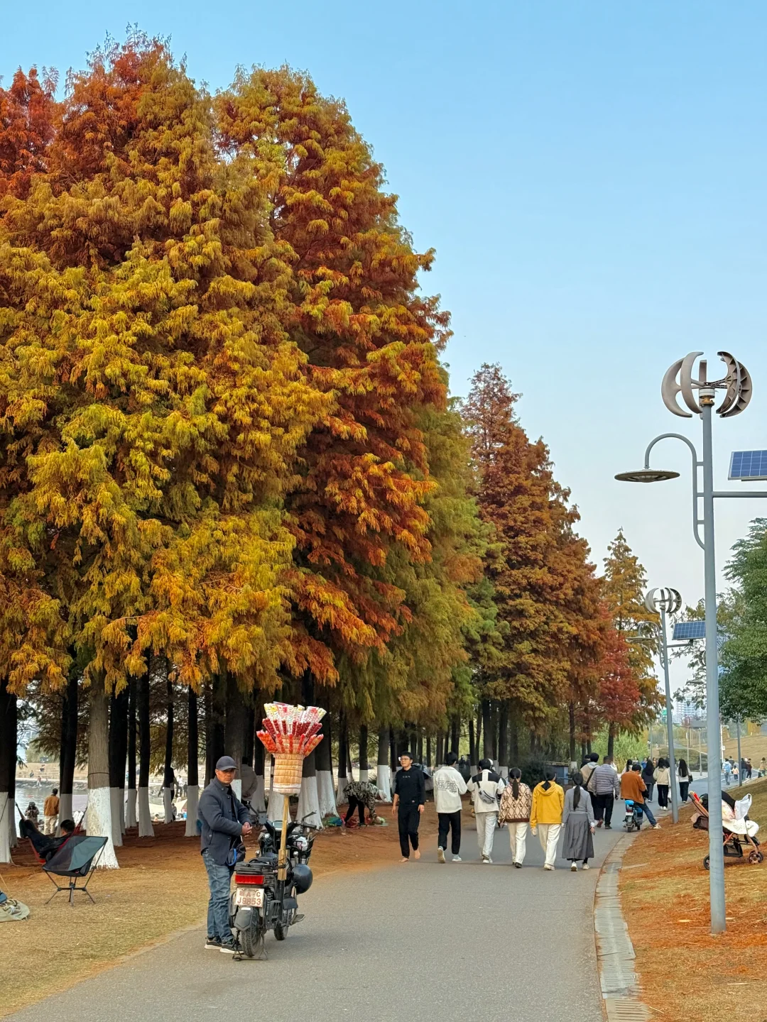 12.7实拍live！！不是大理！！是南昌！！