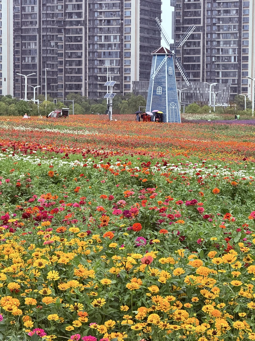 为了这18张live图总要来一趟南昌吧！！！