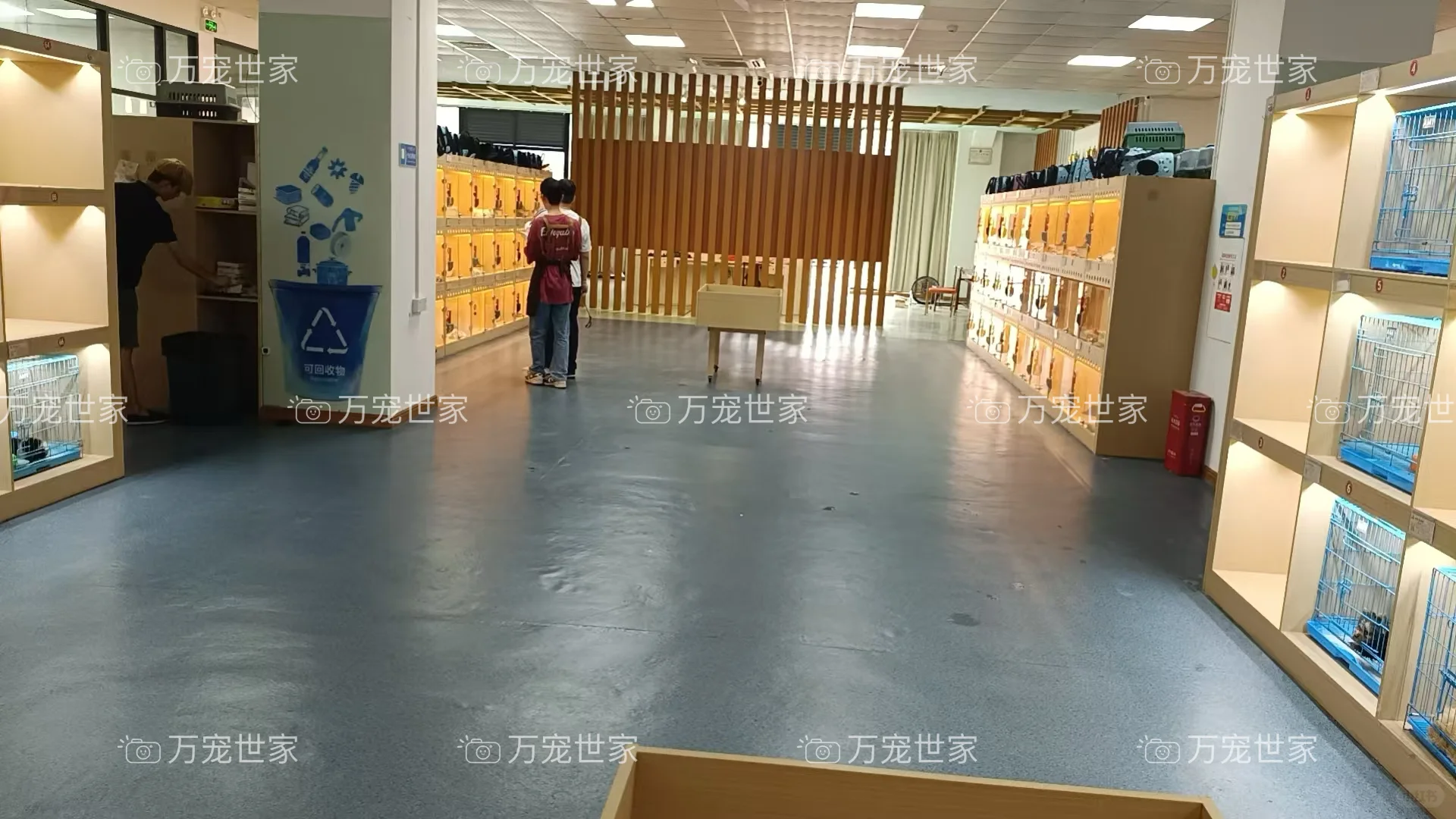 南昌靠谱宠物｜南昌宠物基地｜南昌买猫买狗