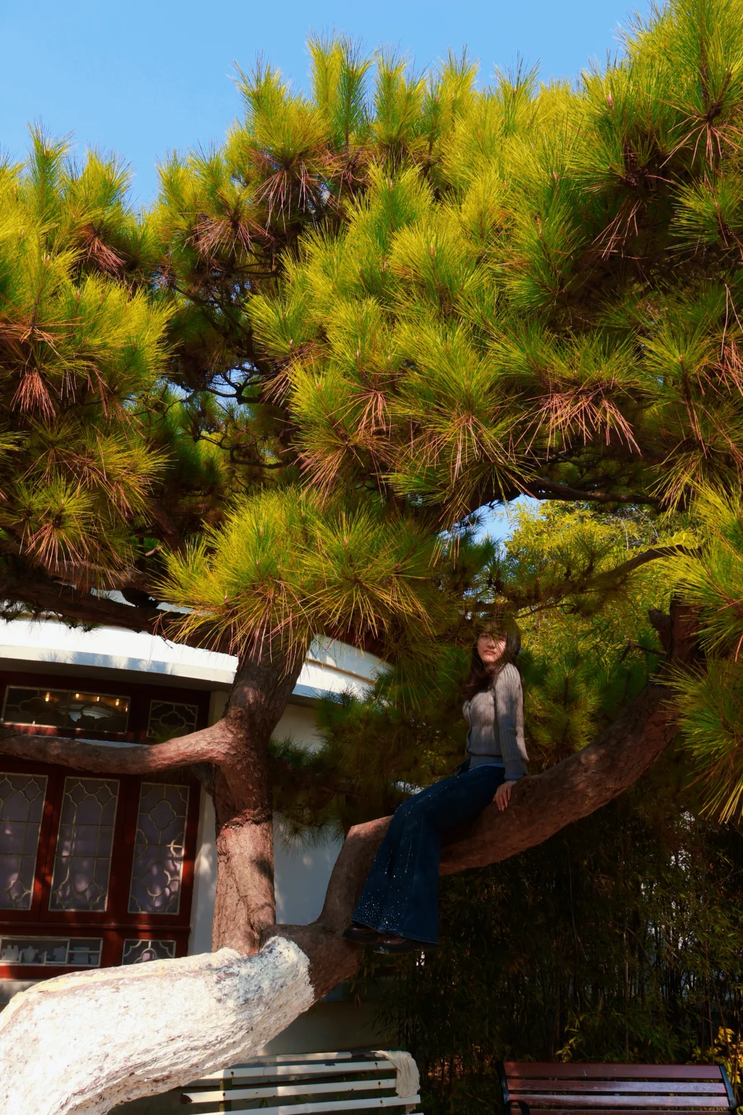 南昌人民公园打卡