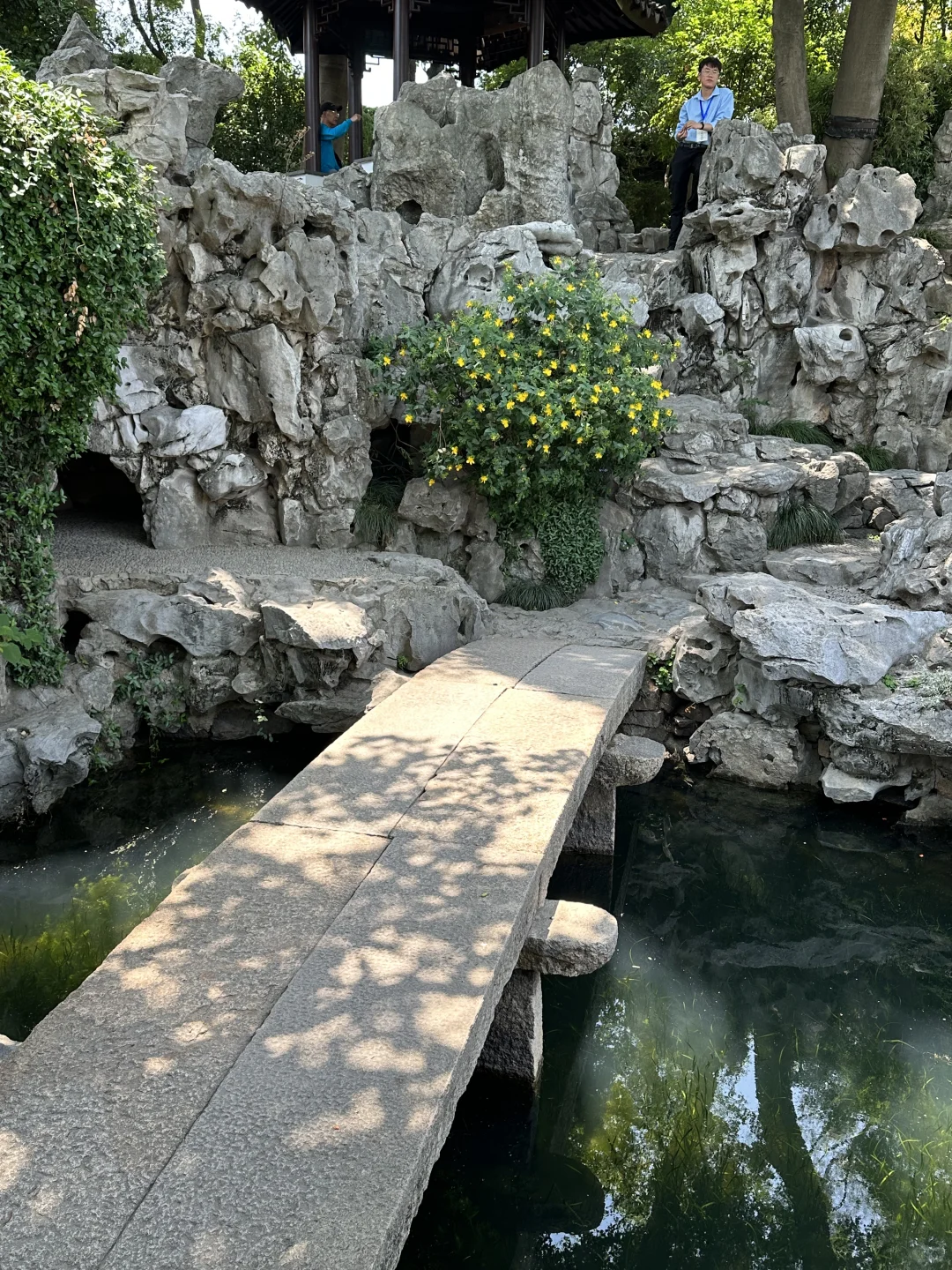 苏州初夏新绿甩京都几条街🌱一日citywalk