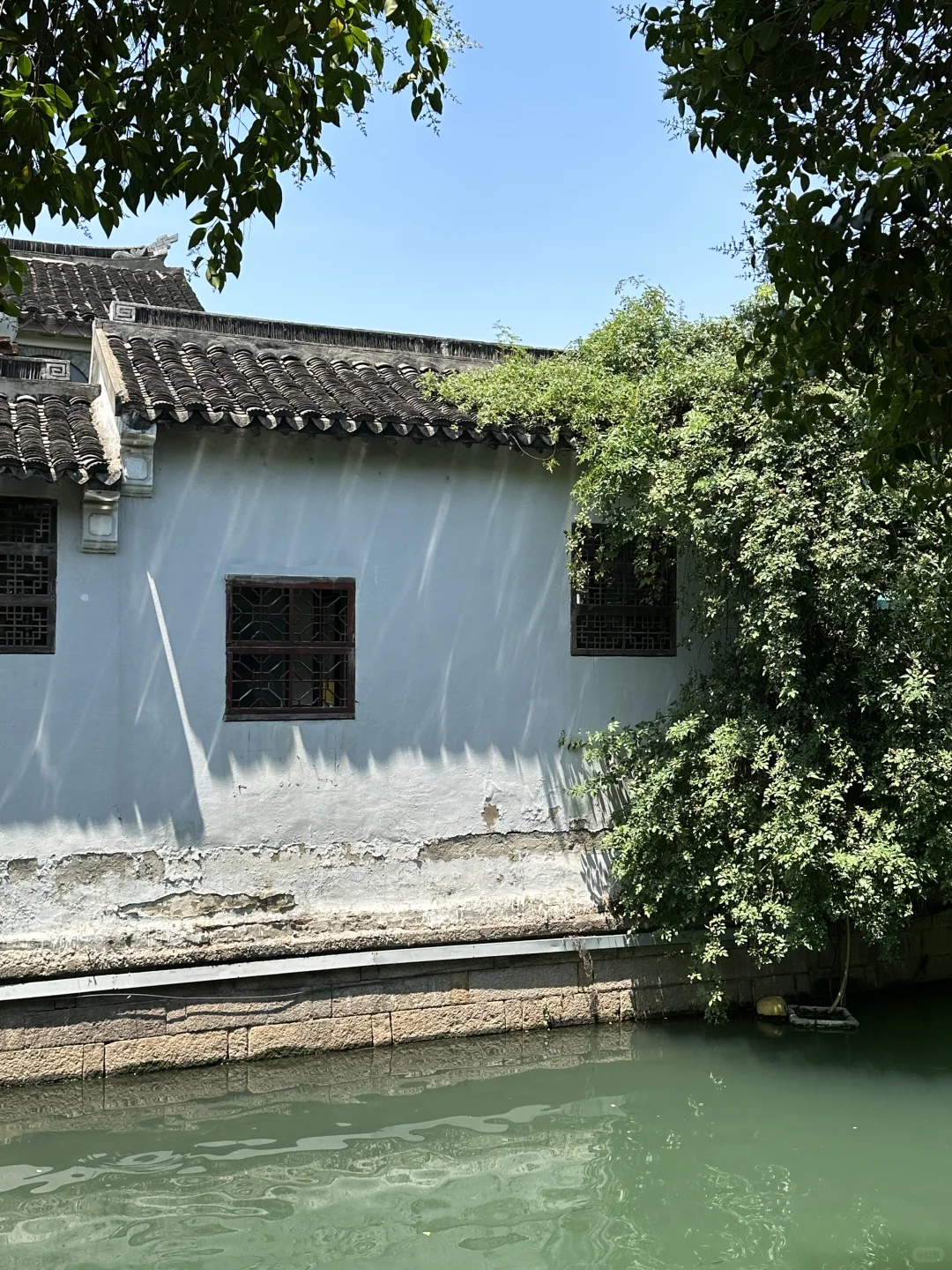 苏州初夏新绿甩京都几条街🌱一日citywalk