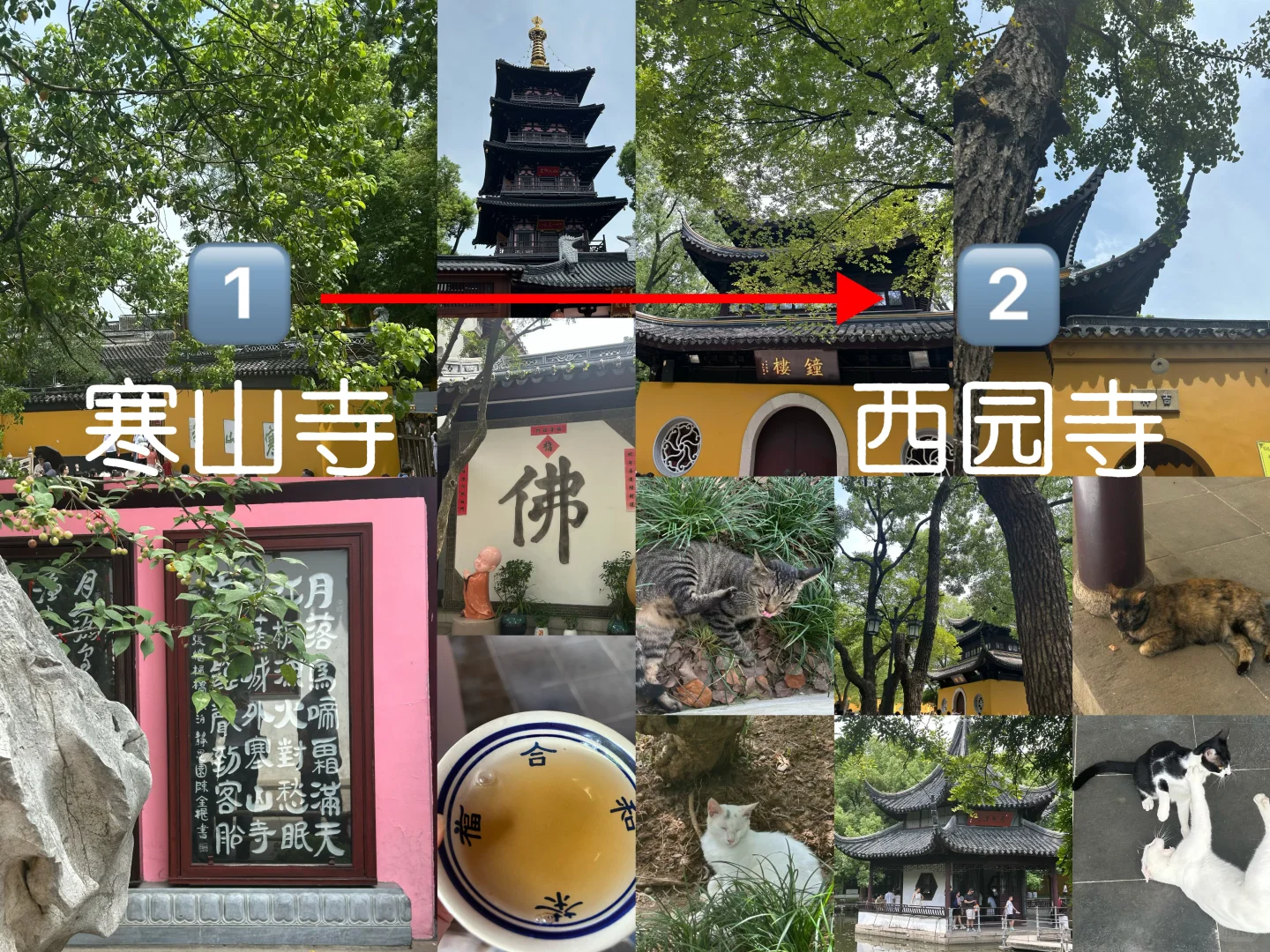 📍苏州两日经典打卡攻略｜跟着本地人逛吃线