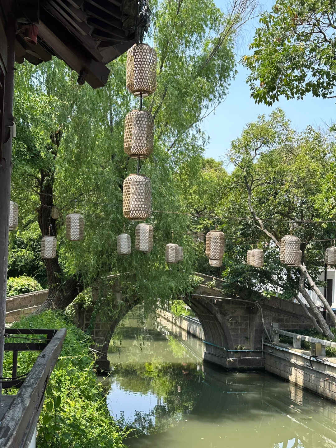 苏州初夏新绿甩京都几条街🌱一日citywalk
