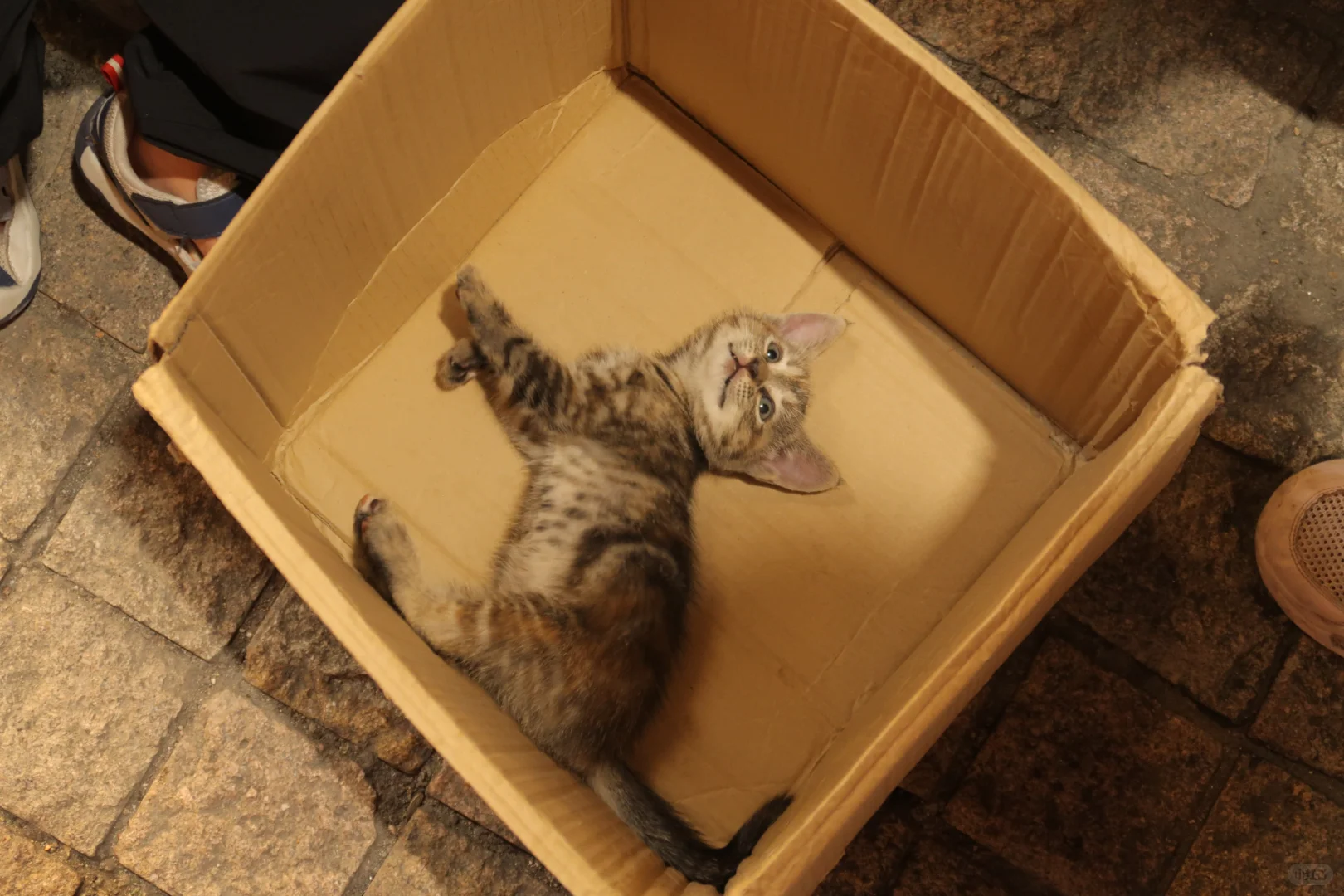 一眼就沦陷的江南水乡！