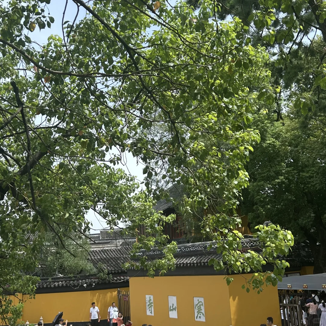 📍苏州两日经典打卡攻略｜跟着本地人逛吃线