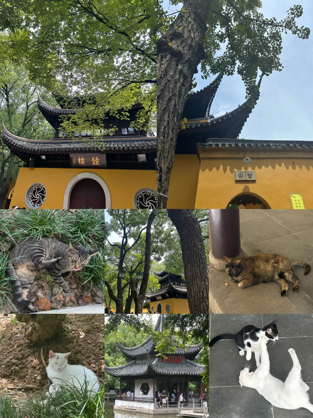 📍苏州两日经典打卡攻略｜跟着本地人逛吃线