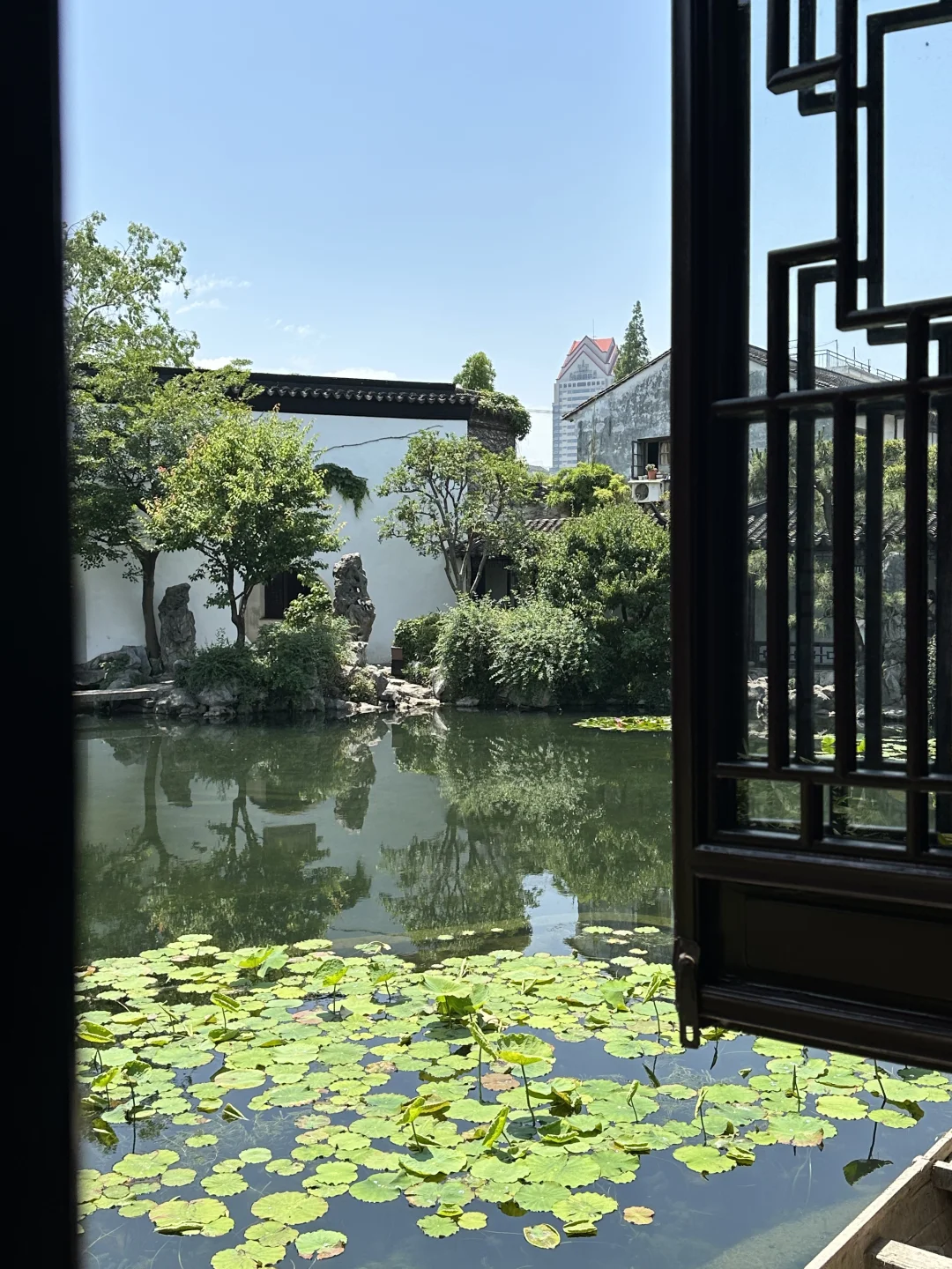 苏州初夏新绿甩京都几条街🌱一日citywalk