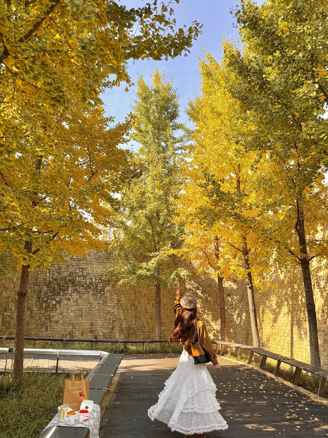 11.14实况！南京🈚️人银杏大道！！杀疯了。。。