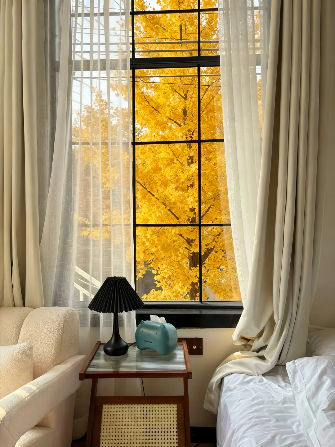 来南京住我家吧！108俩人😭（11.14后空）