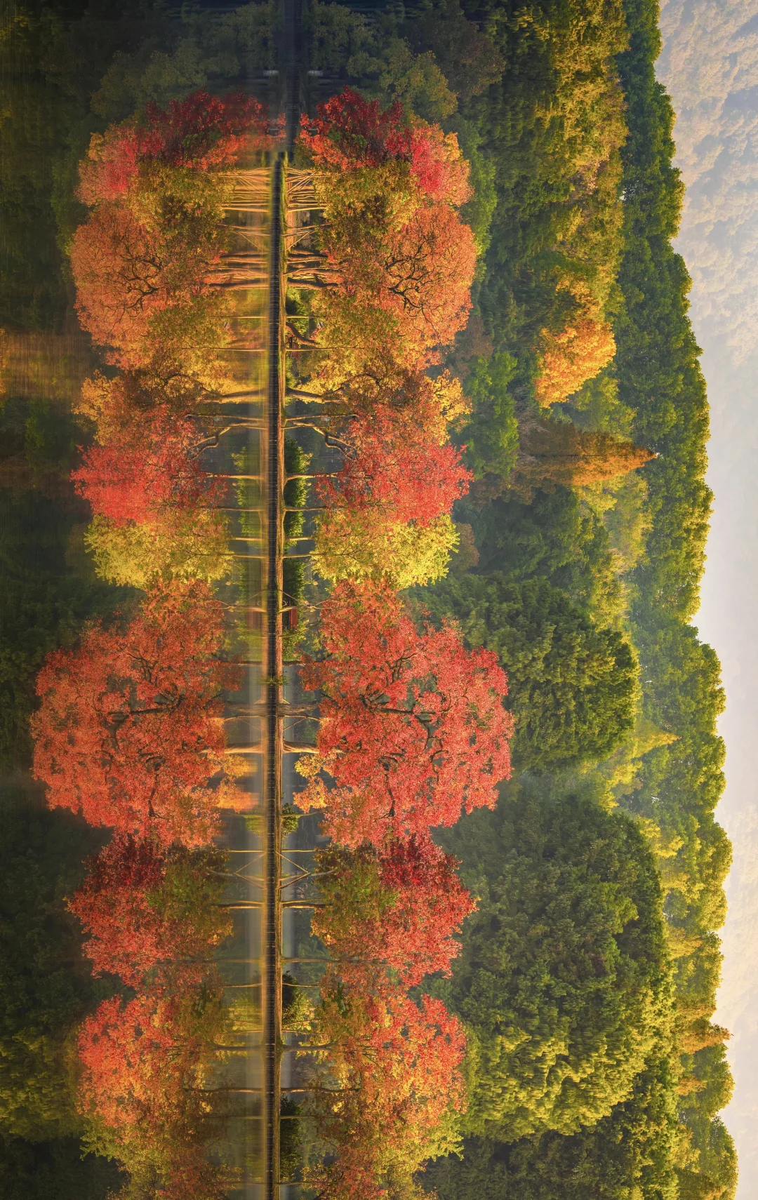 南京的秋天从前湖开始，