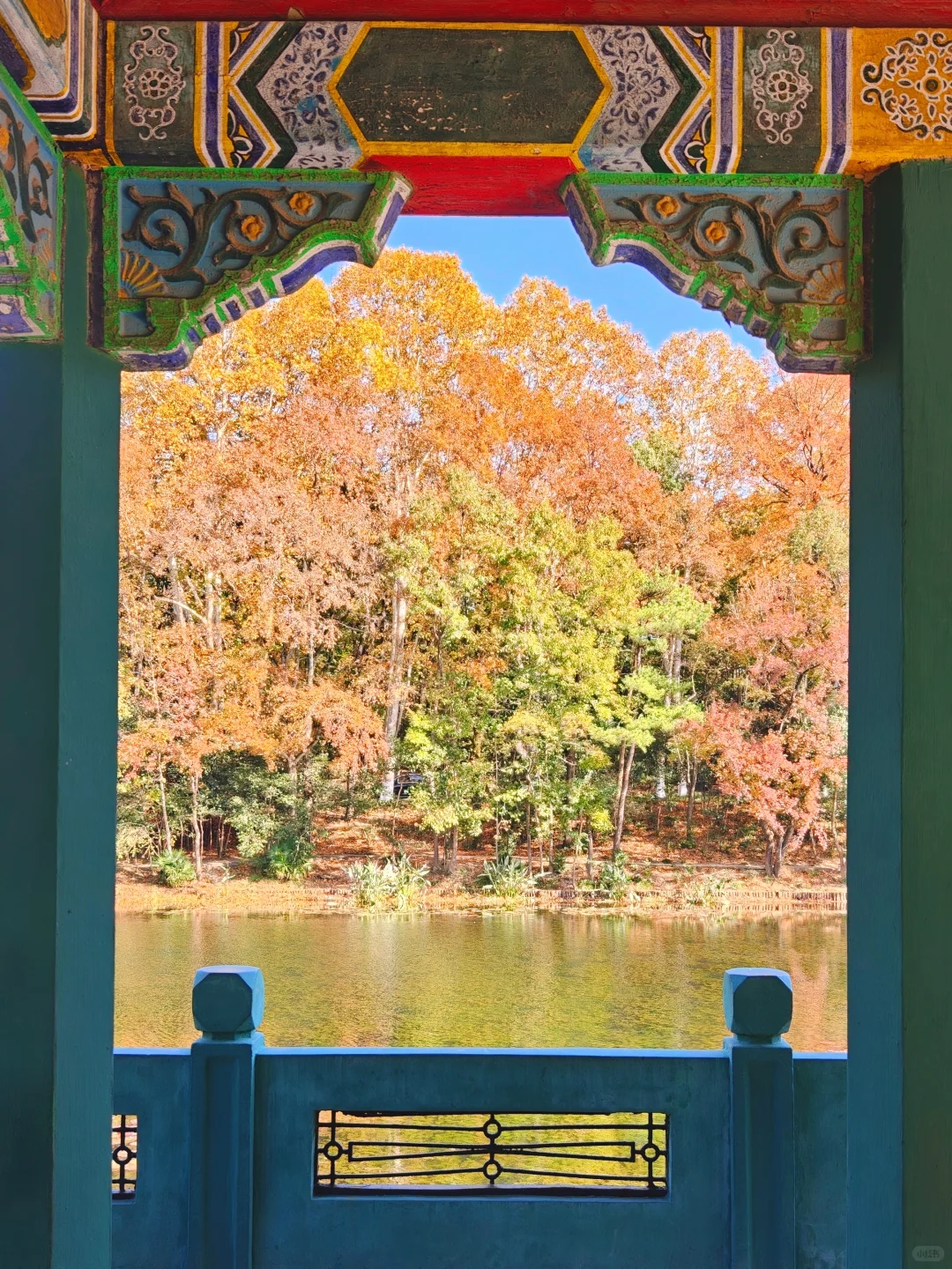 南京流徽榭秋景攻略｜正午1点拍绝湖水倒影