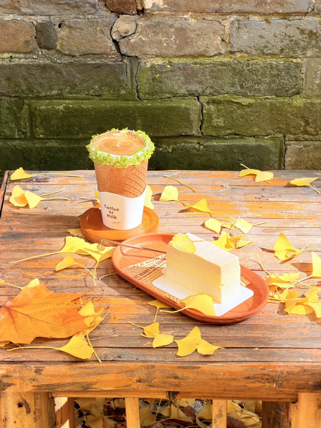 这颗银杏树等了你五百年