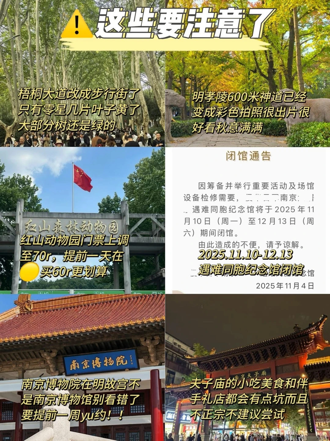 11.15南京已回，再也不信xhs说的了