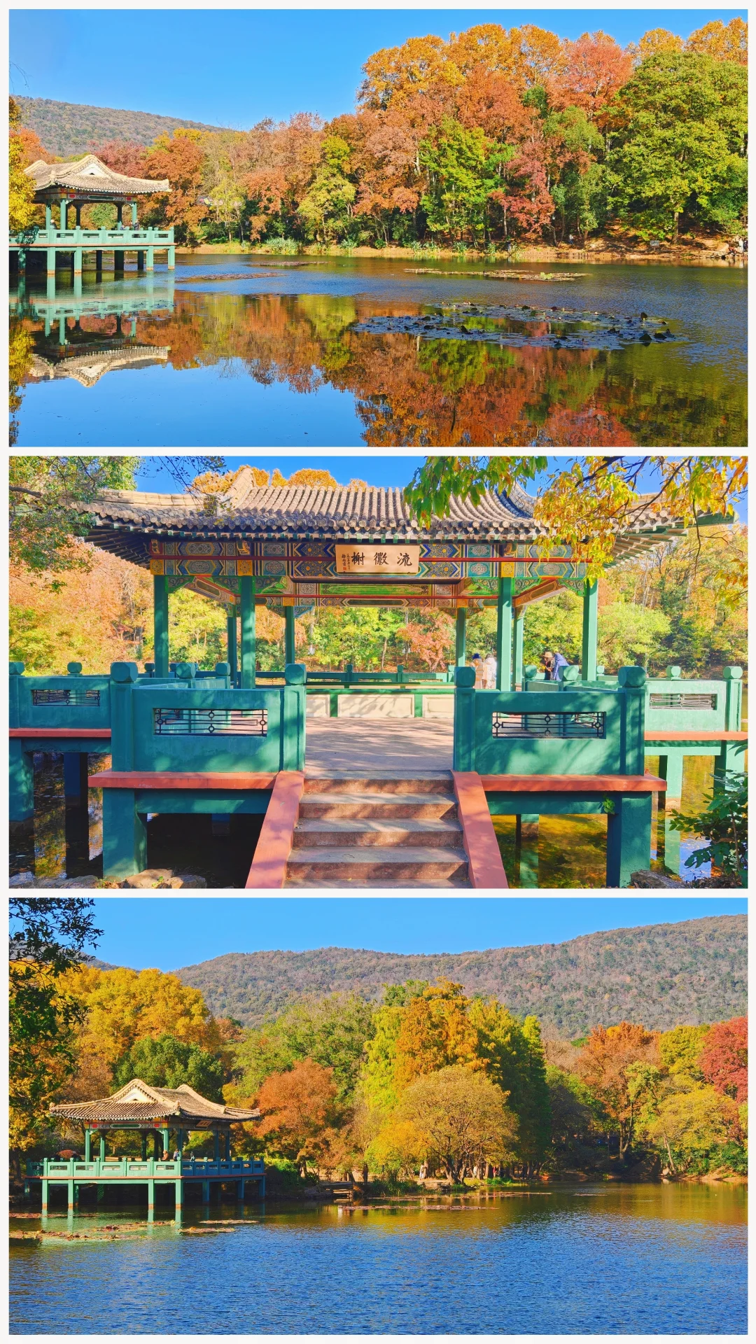 南京流徽榭秋景攻略｜正午1点拍绝湖水倒影