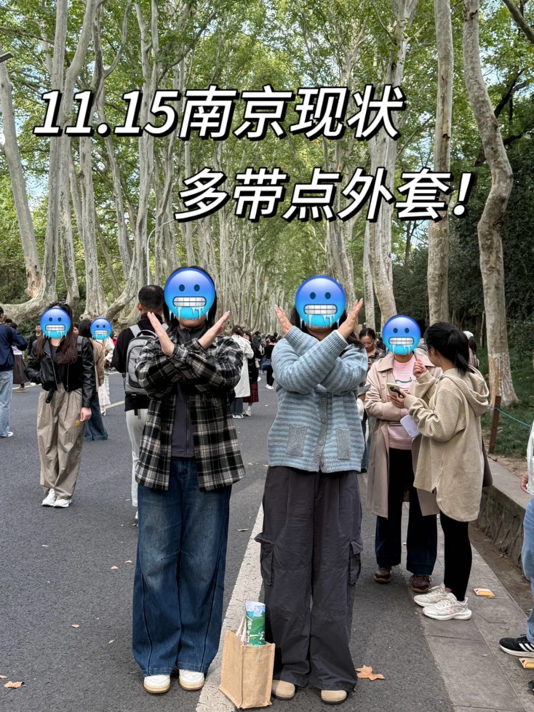 11.15南京已回，再也不信xhs说的了