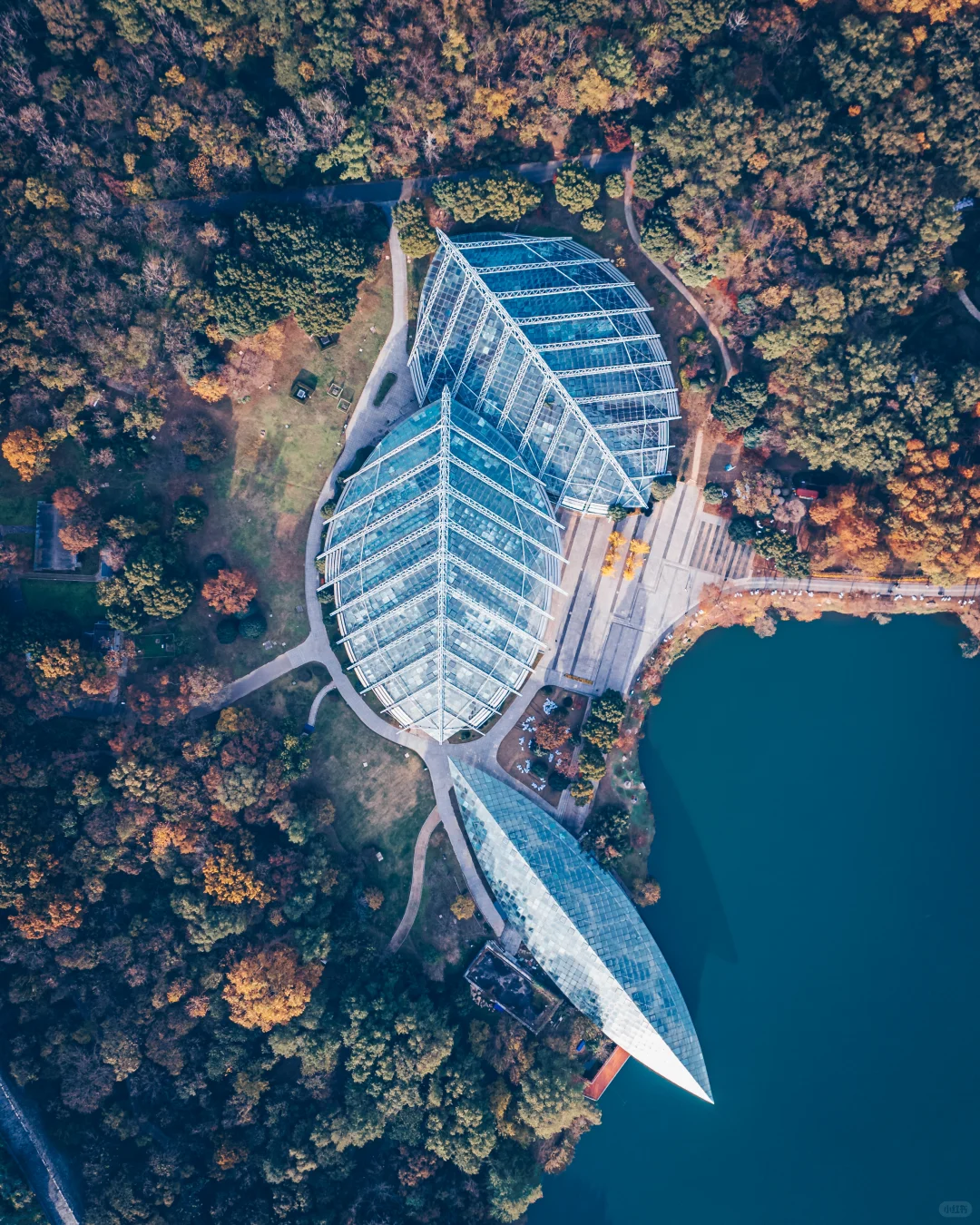 南京｜紫金山下秋风至