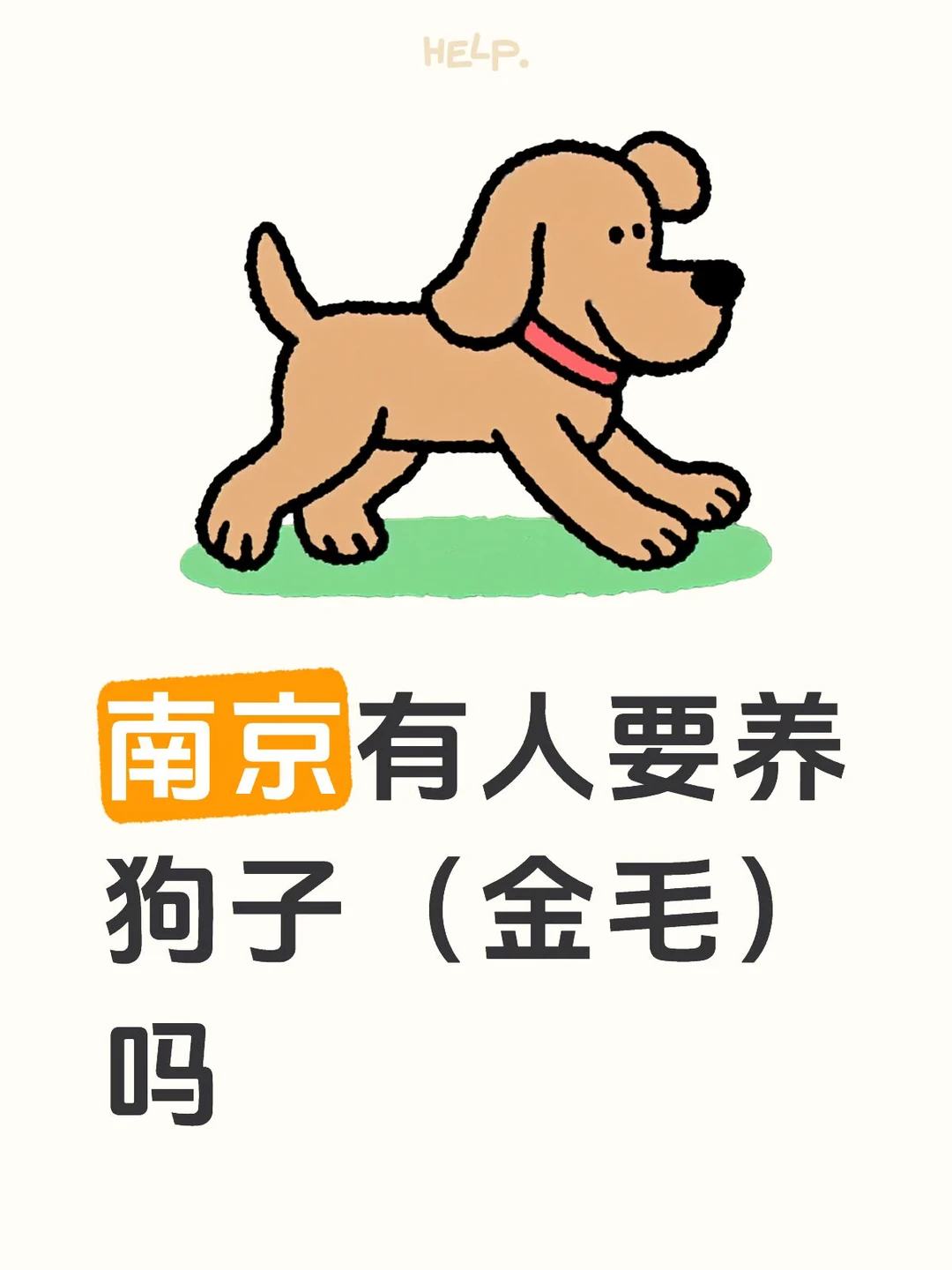 南京有人要养狗子（金毛）吗