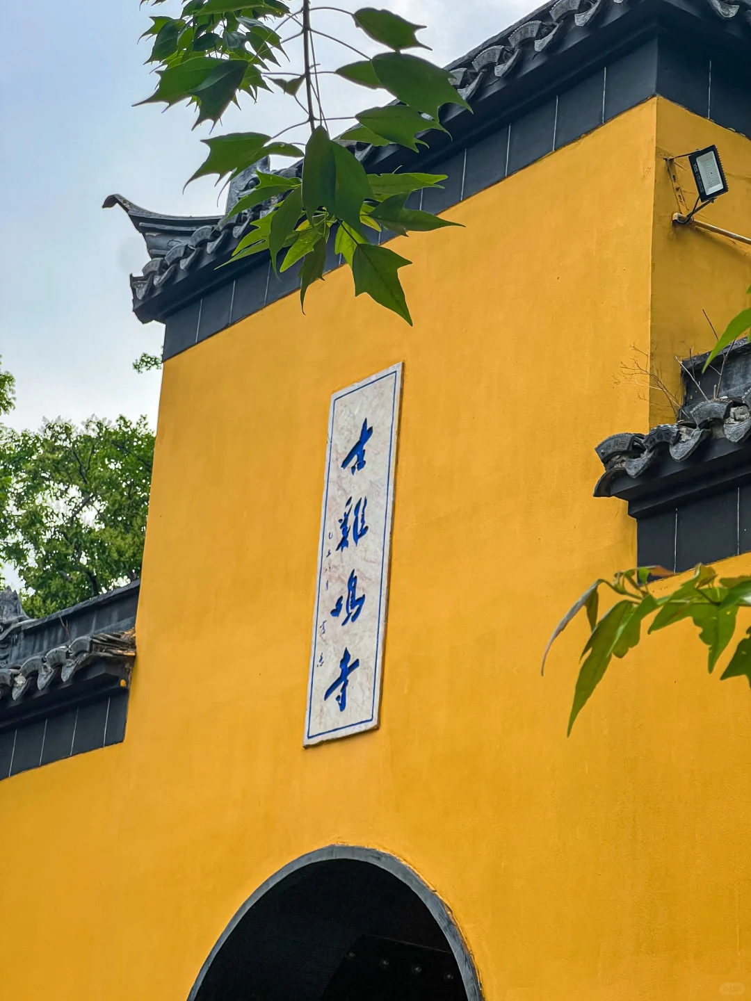 因为这1️⃣8️⃣张照片，我专门去了一趟南京‼️