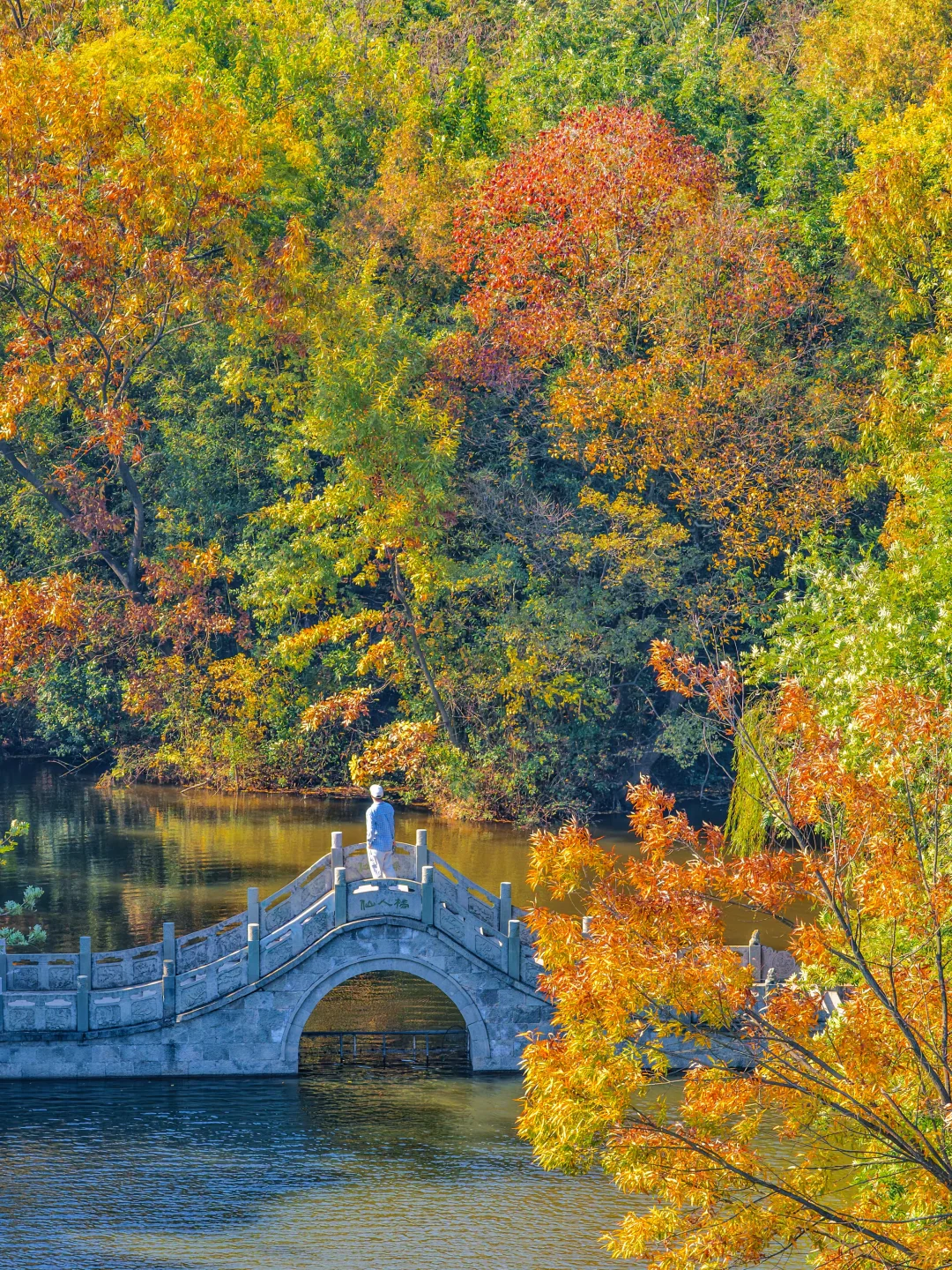 以为苏州已经够美了，直到我去了徐州😭..