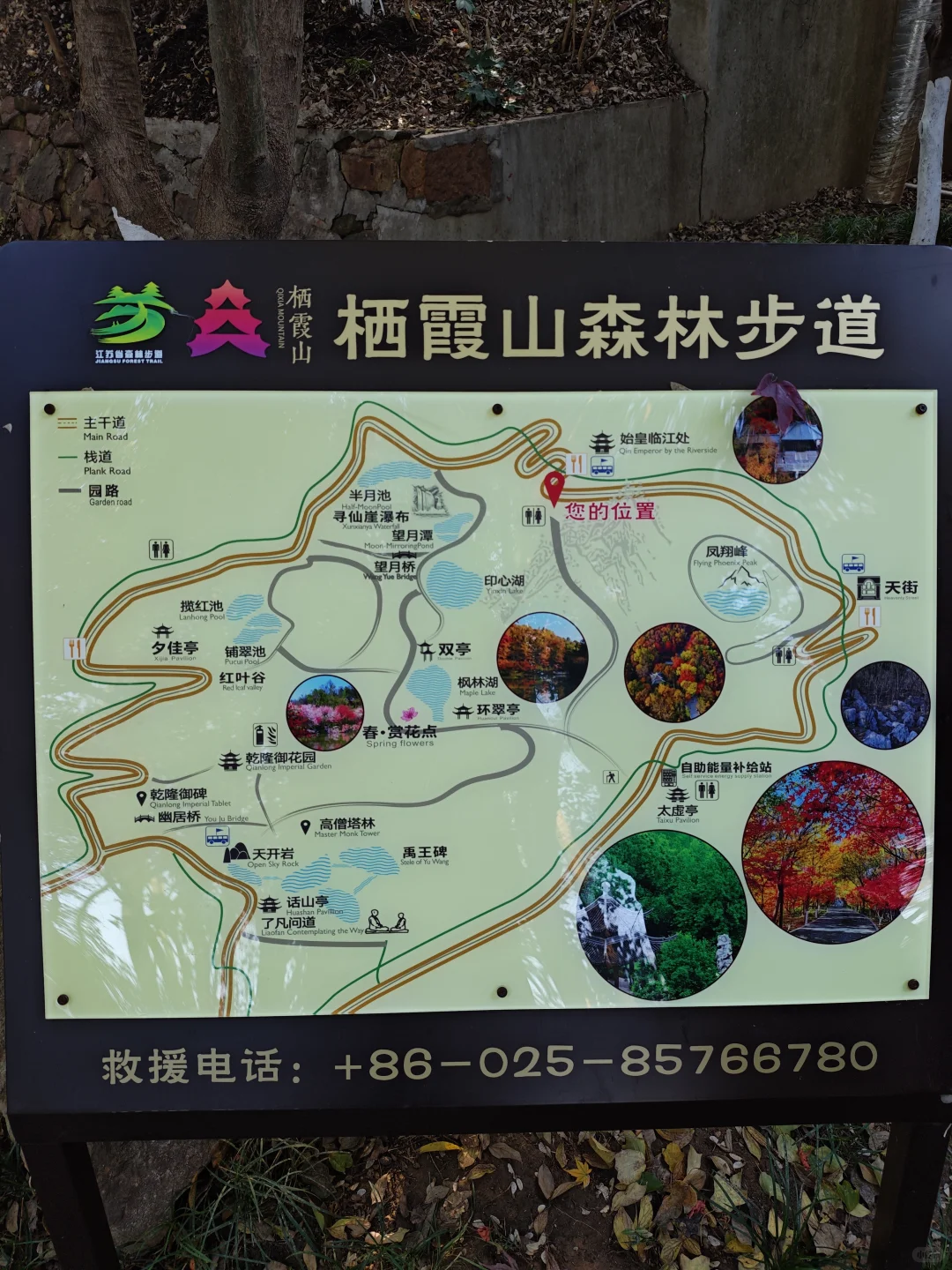 💥红啦！南京栖霞山免费赏枫指南来啦