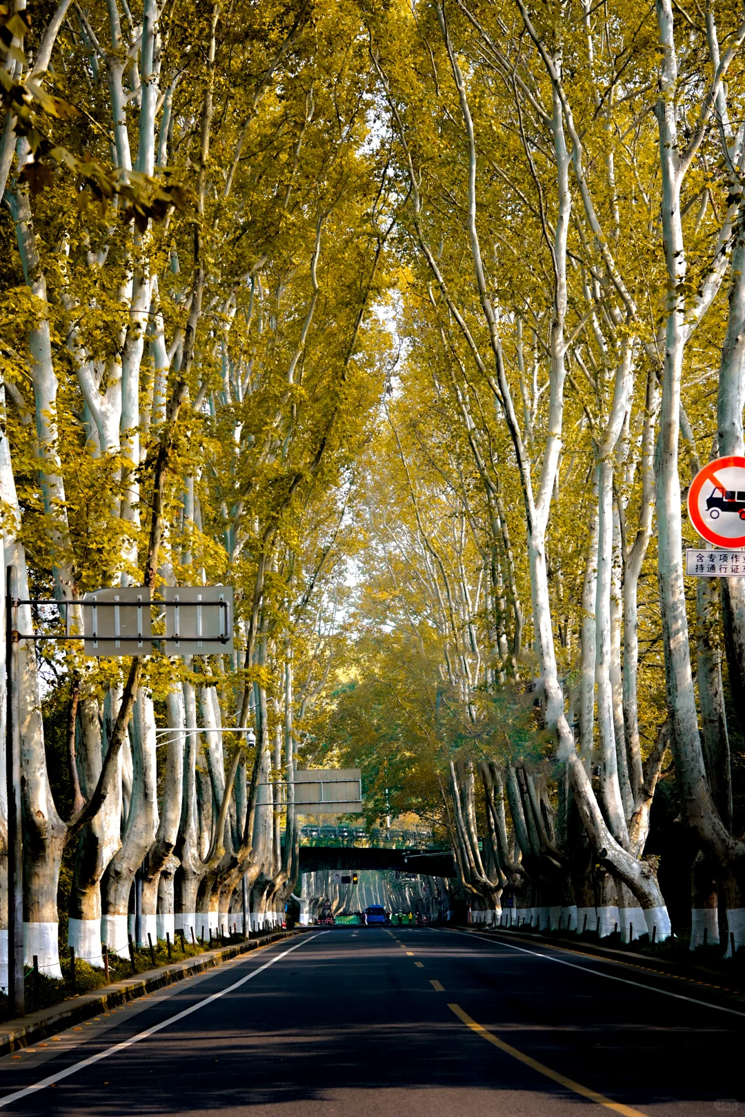 南京/金陵，一个人的旅游