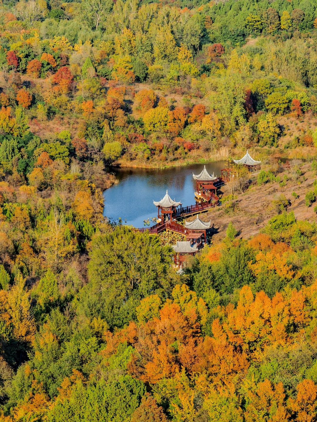 以为苏州已经够美了，直到我去了徐州😭..