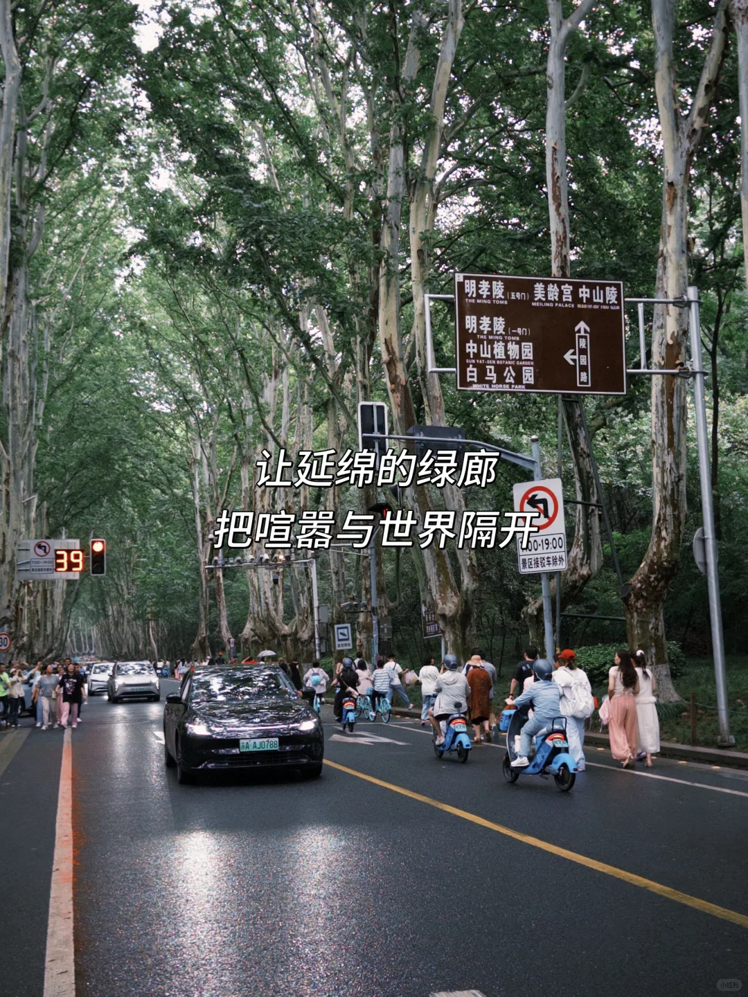 因思念难静〰️便来趟南京！🍃