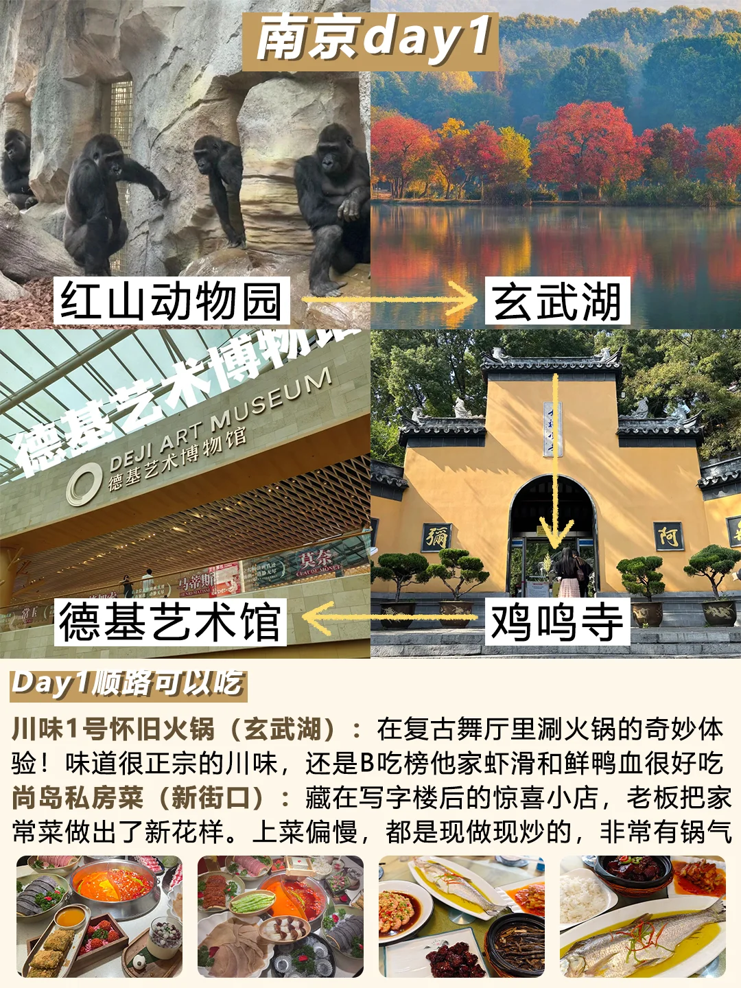 11.11日南京现状！打算来的速看