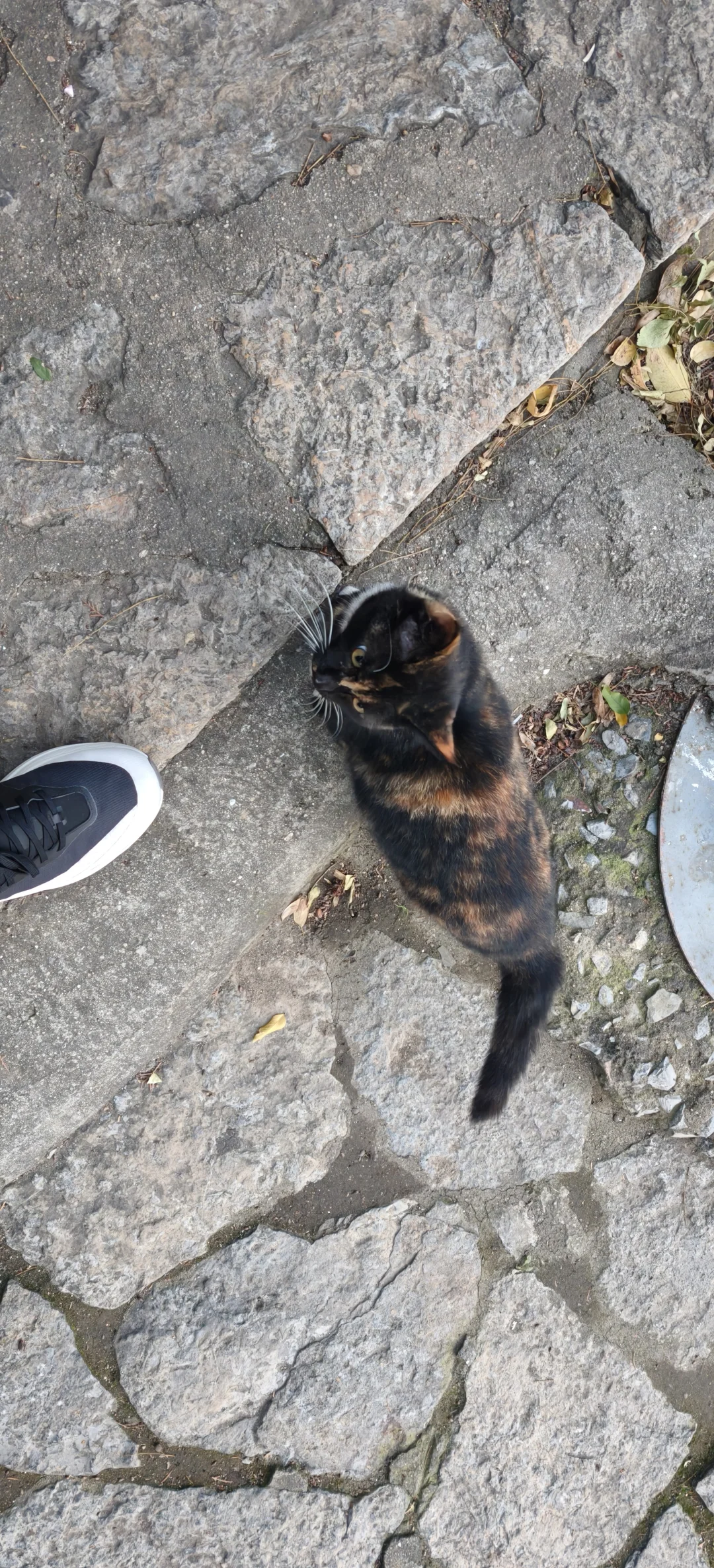 🌅徐州双璧｜云龙山×云龙湖