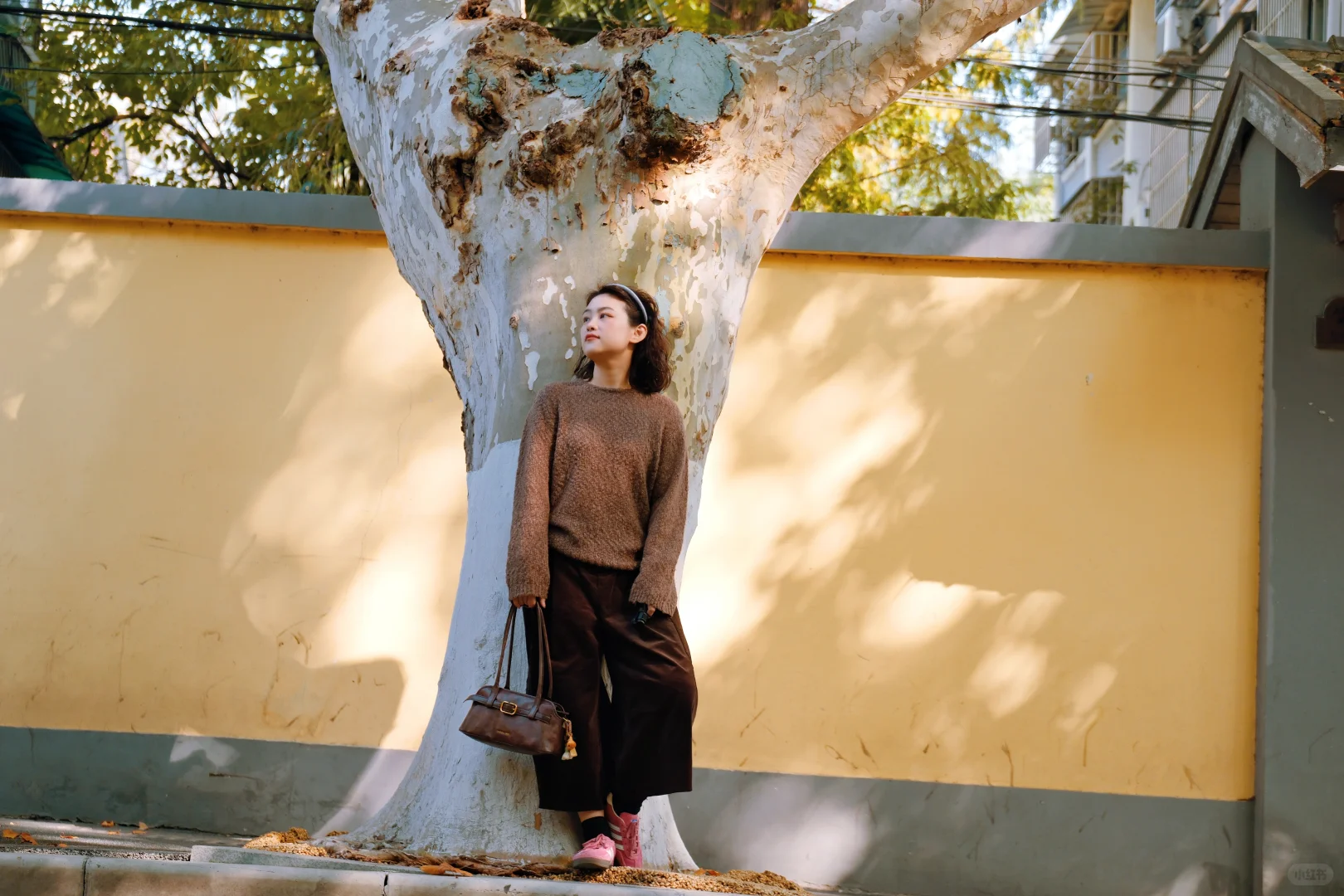 南京‖颐和路的秋天