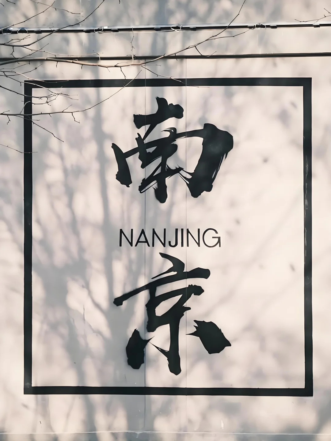 南京12个超出片的网红打卡点📸免费！