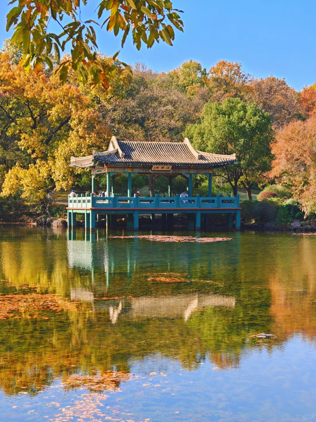 南京流徽榭秋景攻略｜正午1点拍绝湖水倒影
