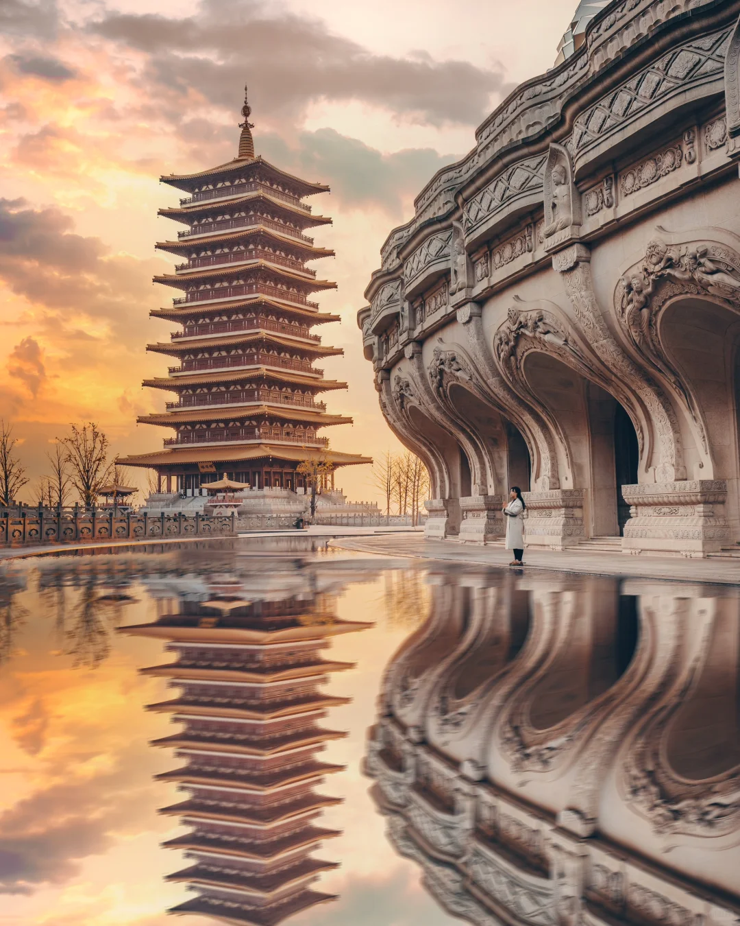 南京｜紫金山下秋风至