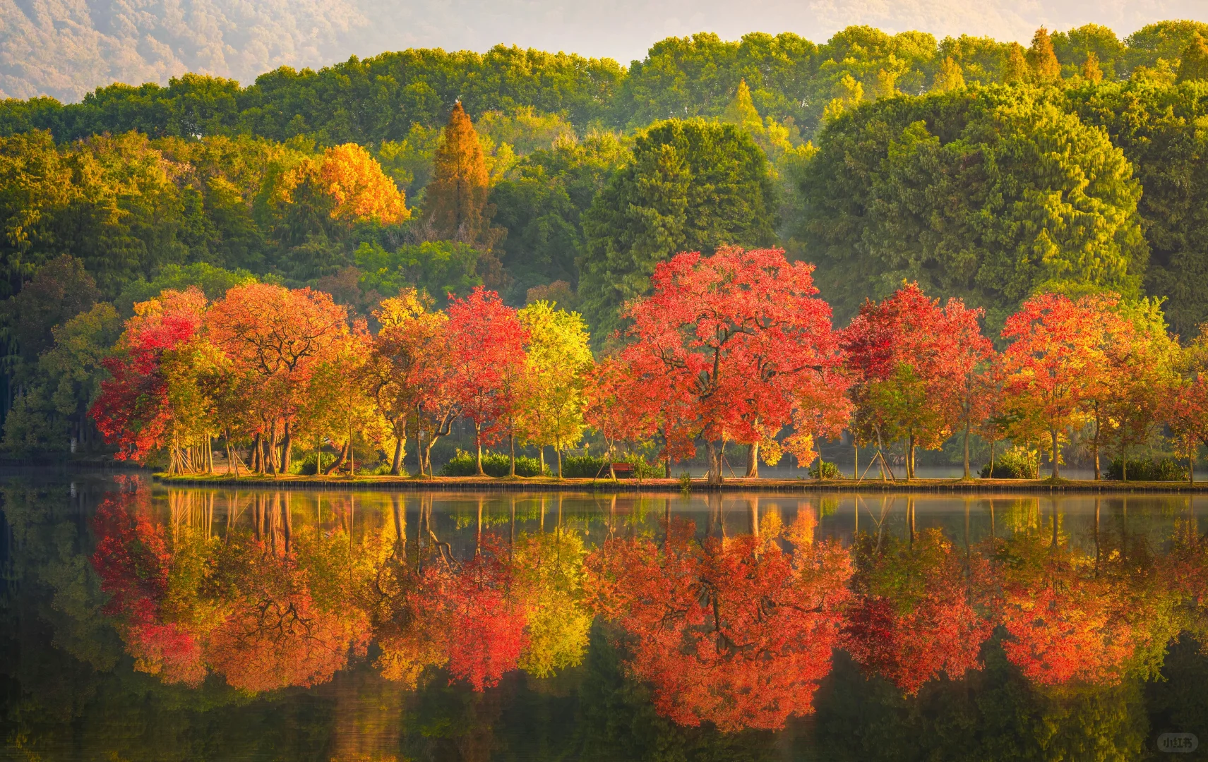 南京的秋天从前湖开始，