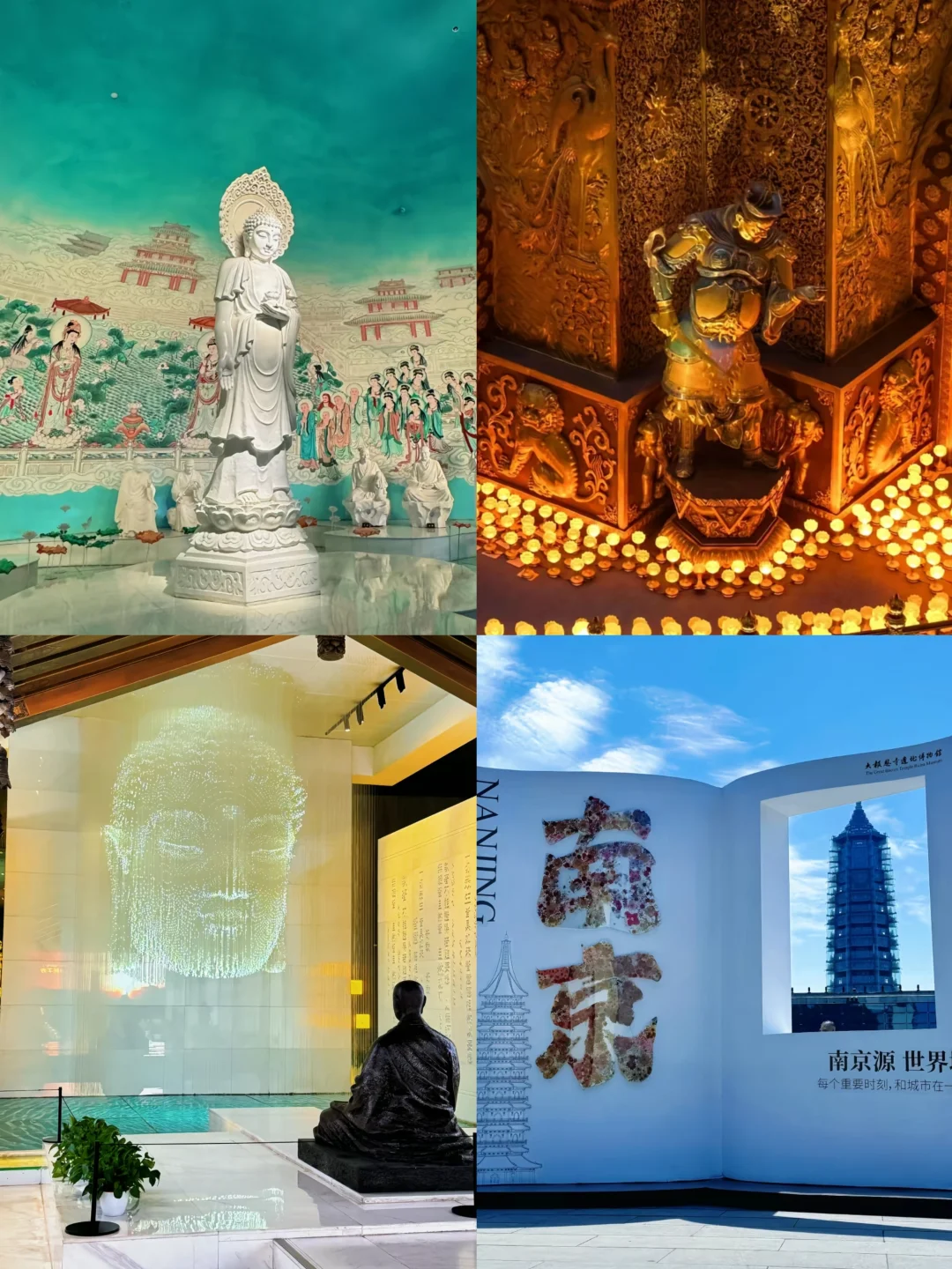 咔嚓咔嚓，我爱南京！📷