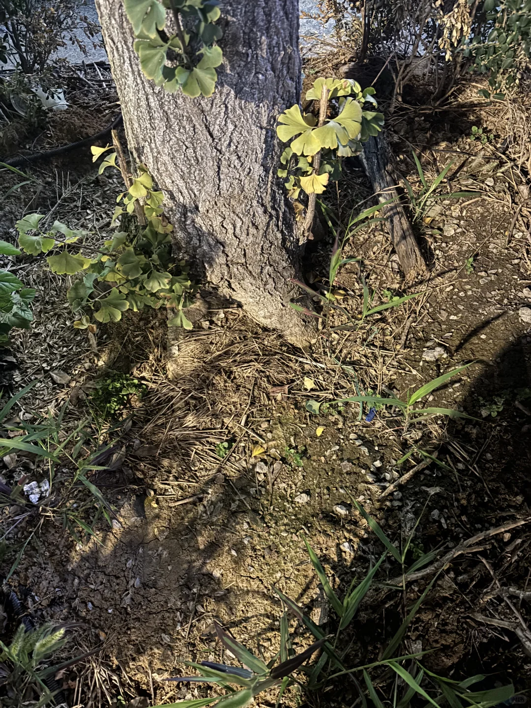 南京寻宝～我在南京藏了一张，来找吧