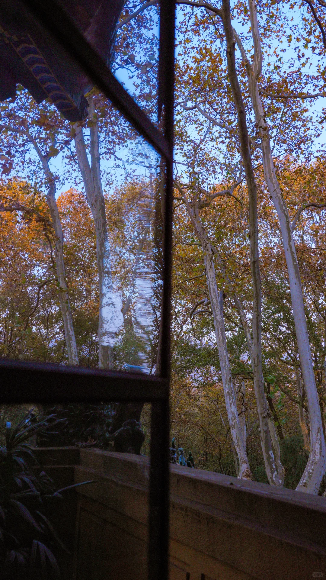 南京的深秋，一把子期待住啦！