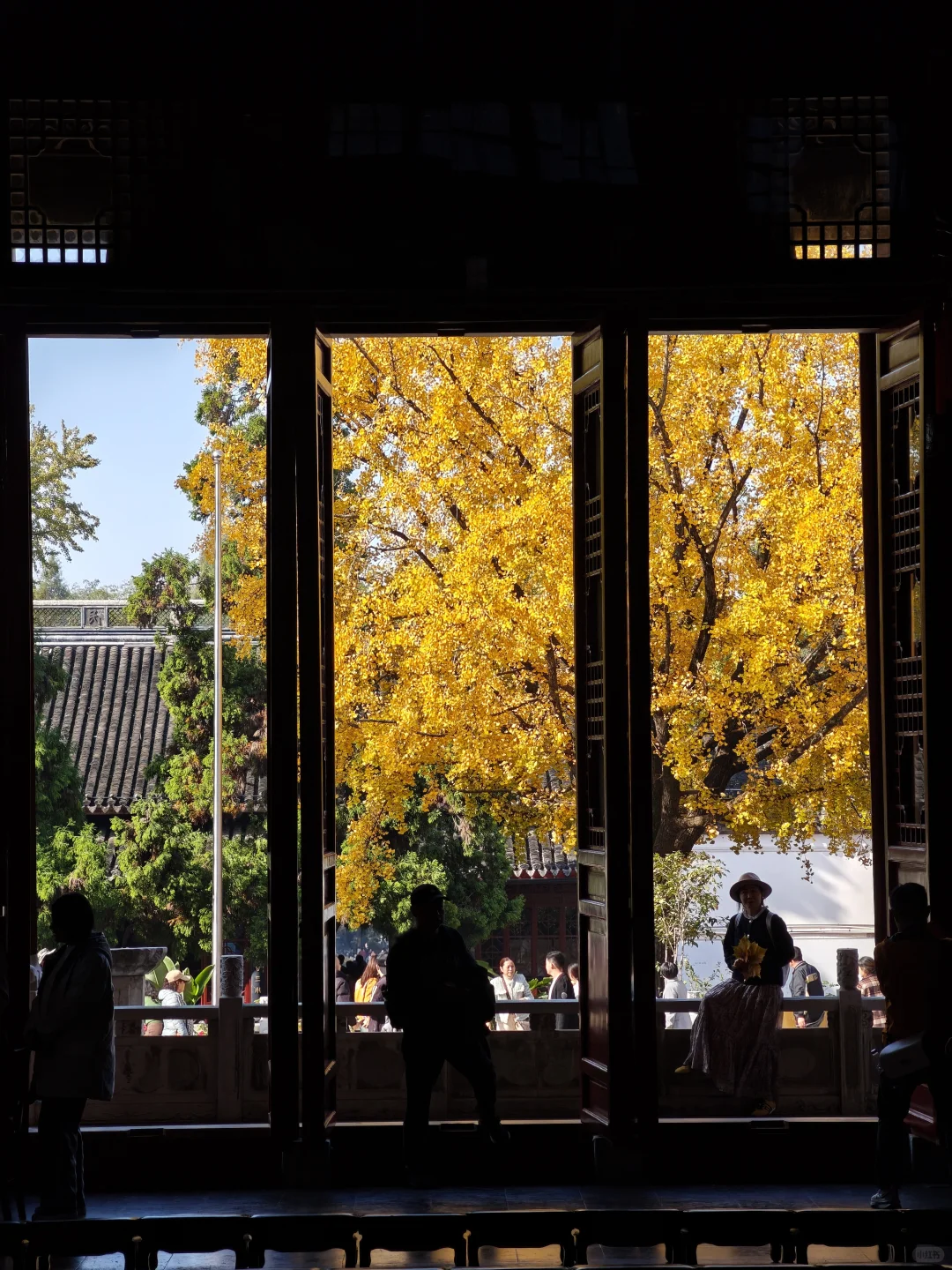 💥红啦！南京栖霞山免费赏枫指南来啦