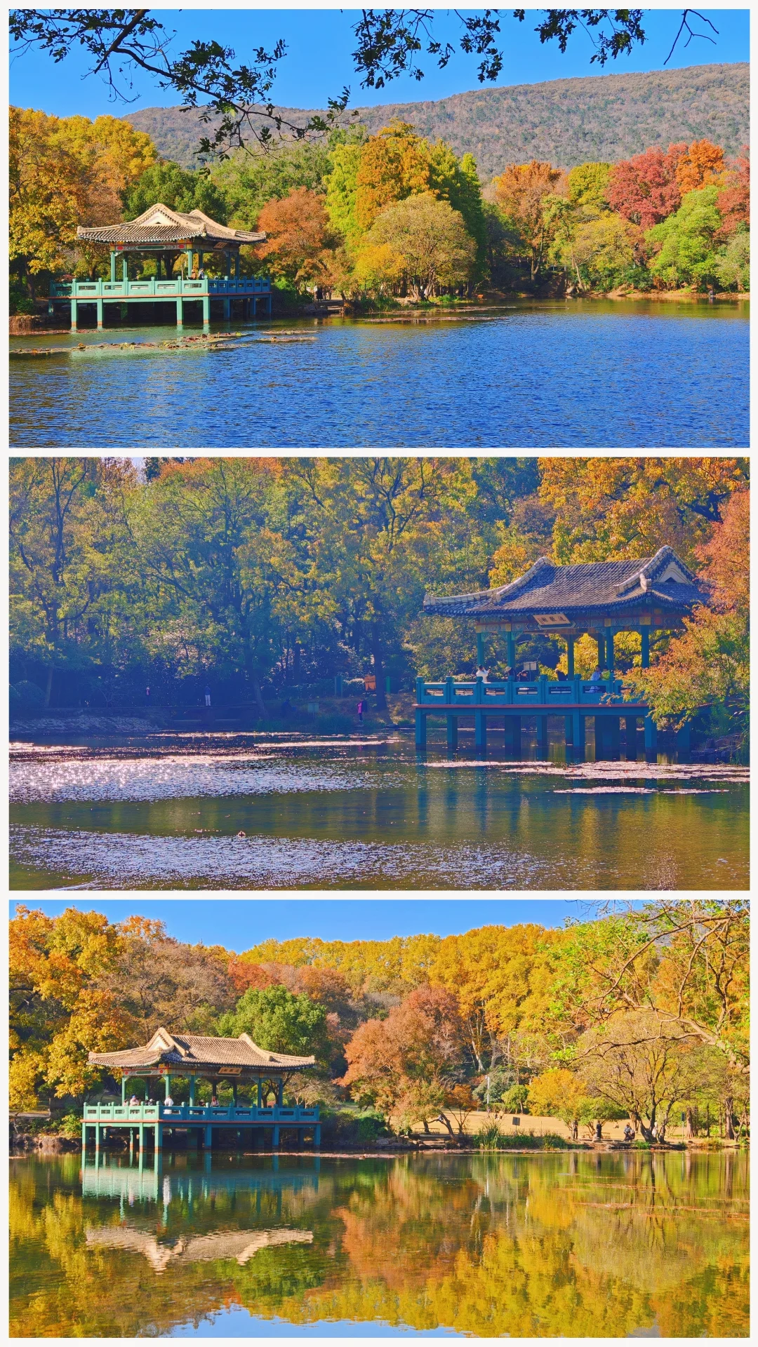 南京流徽榭秋景攻略｜正午1点拍绝湖水倒影