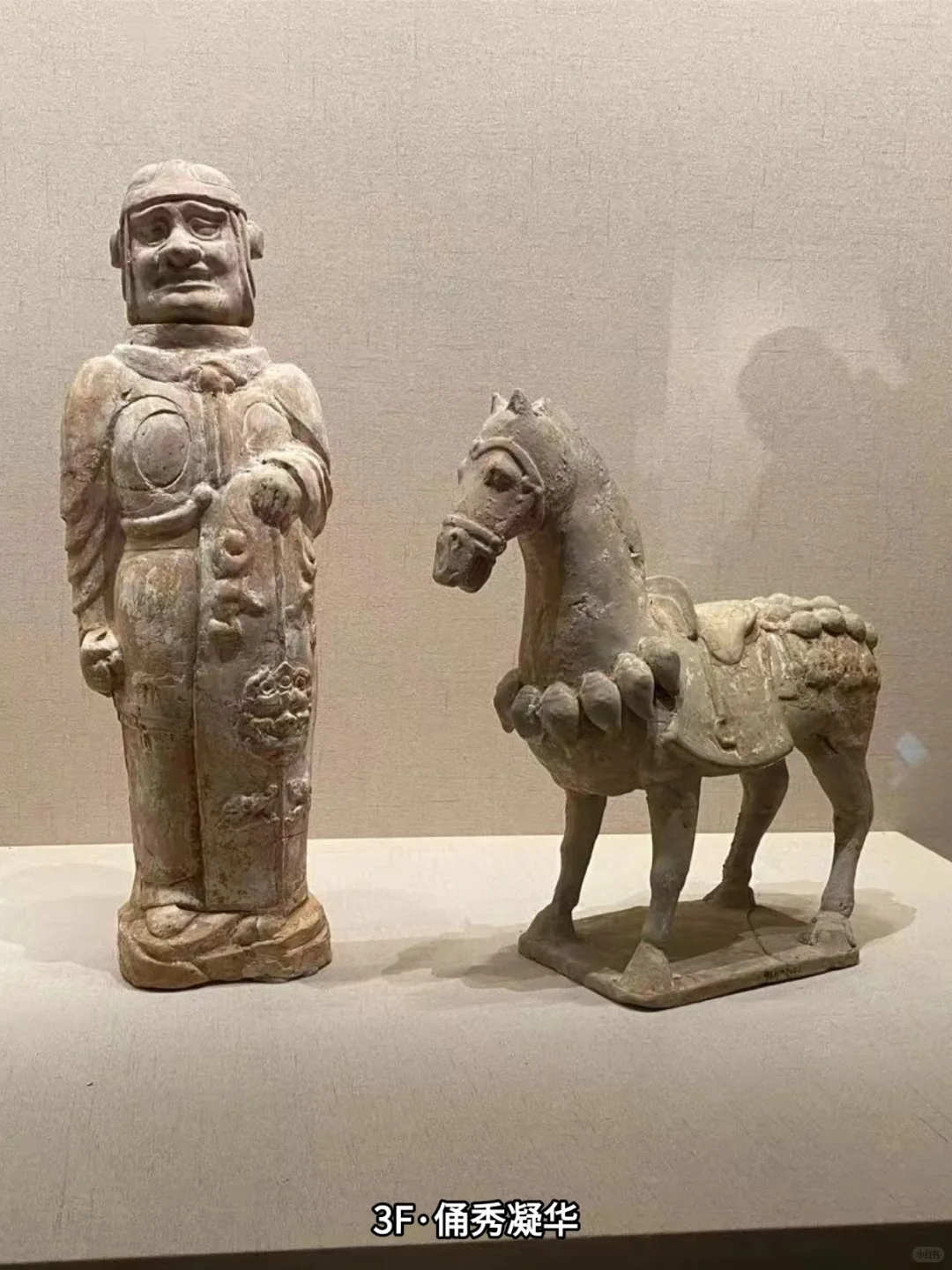 📍徐州博物馆避坑+逛馆路线全攻略❗️