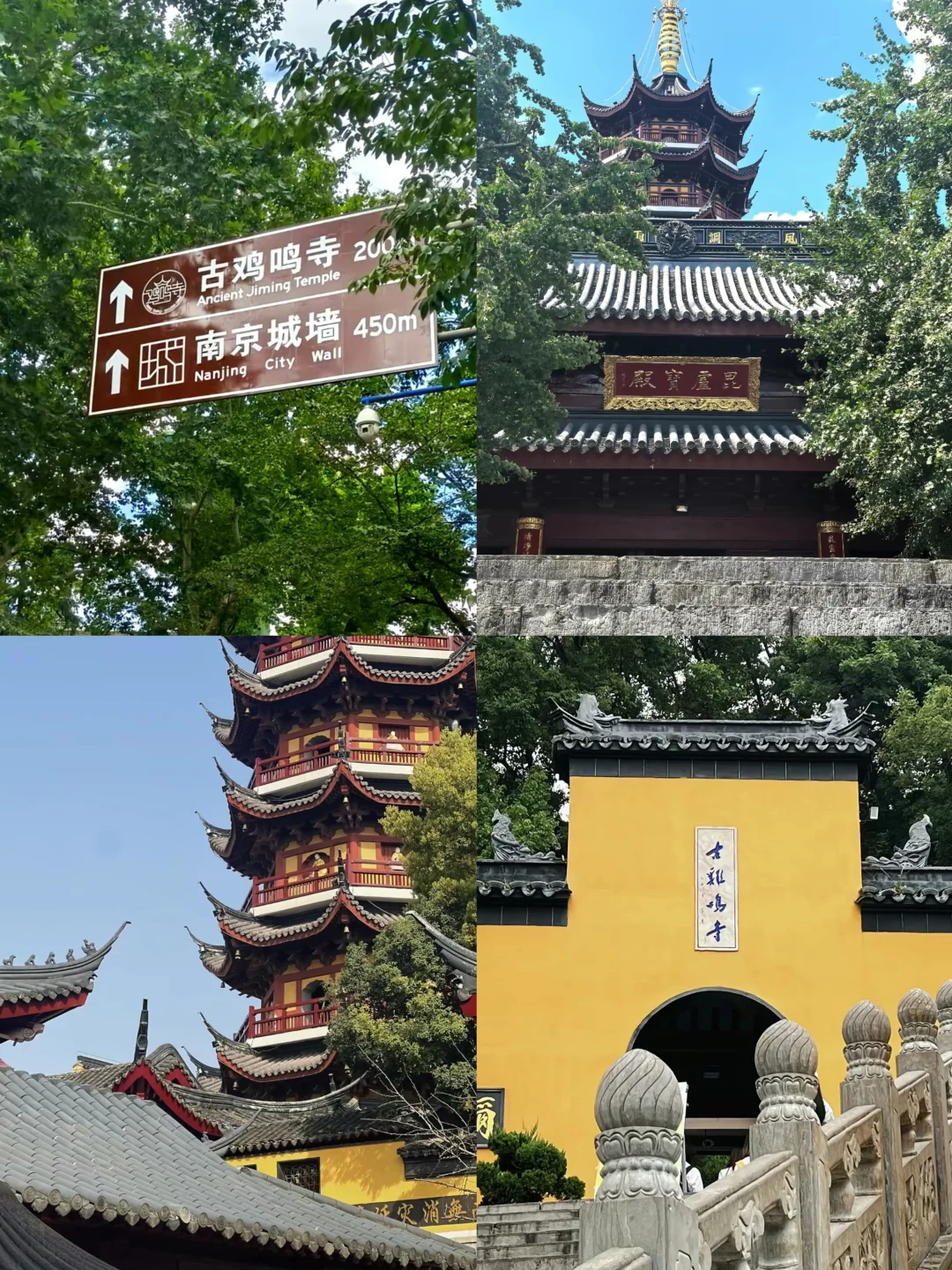 咔嚓咔嚓，我爱南京！📷