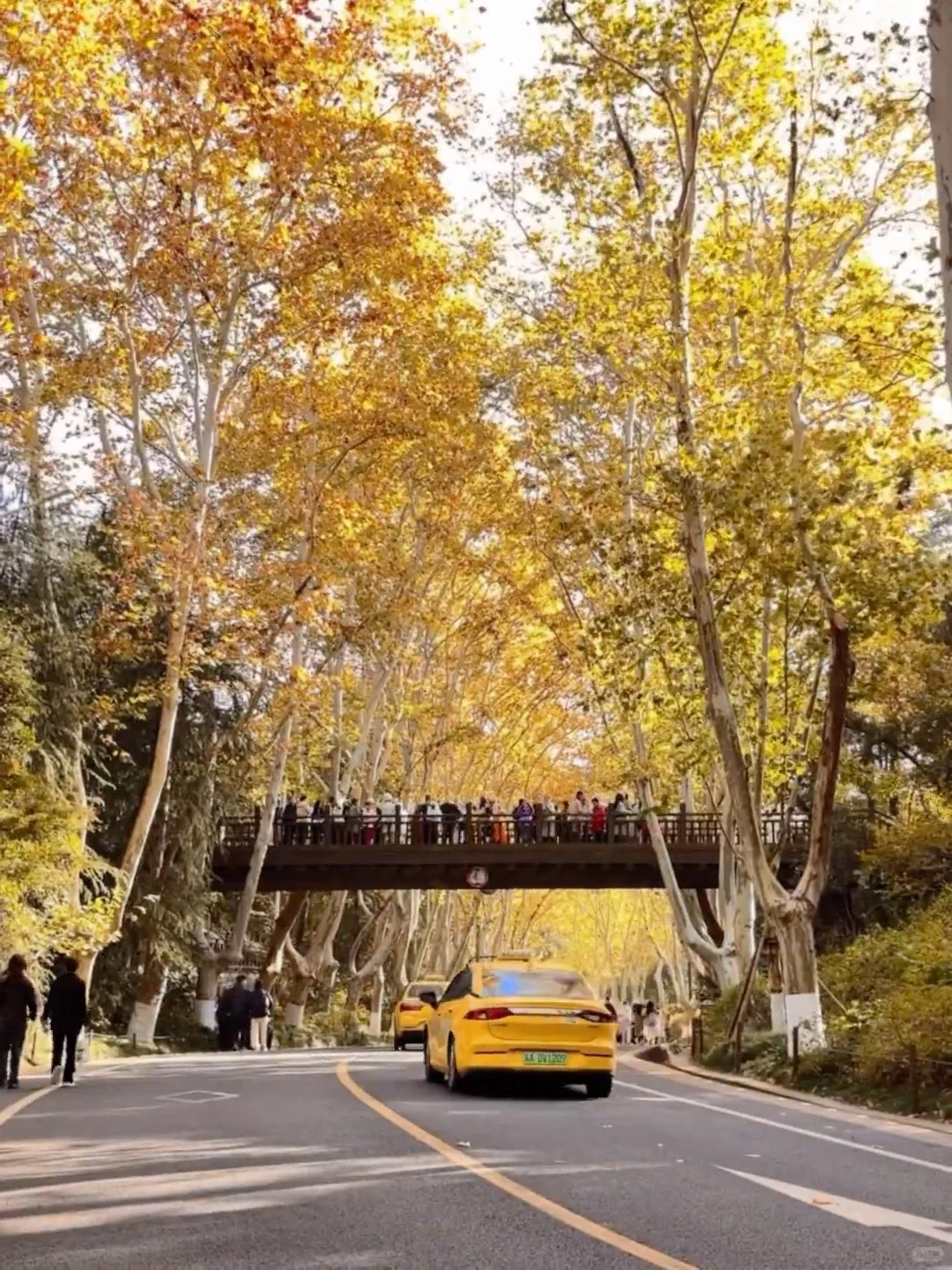 来南京住我家吧！105俩人😭（11.14后空）